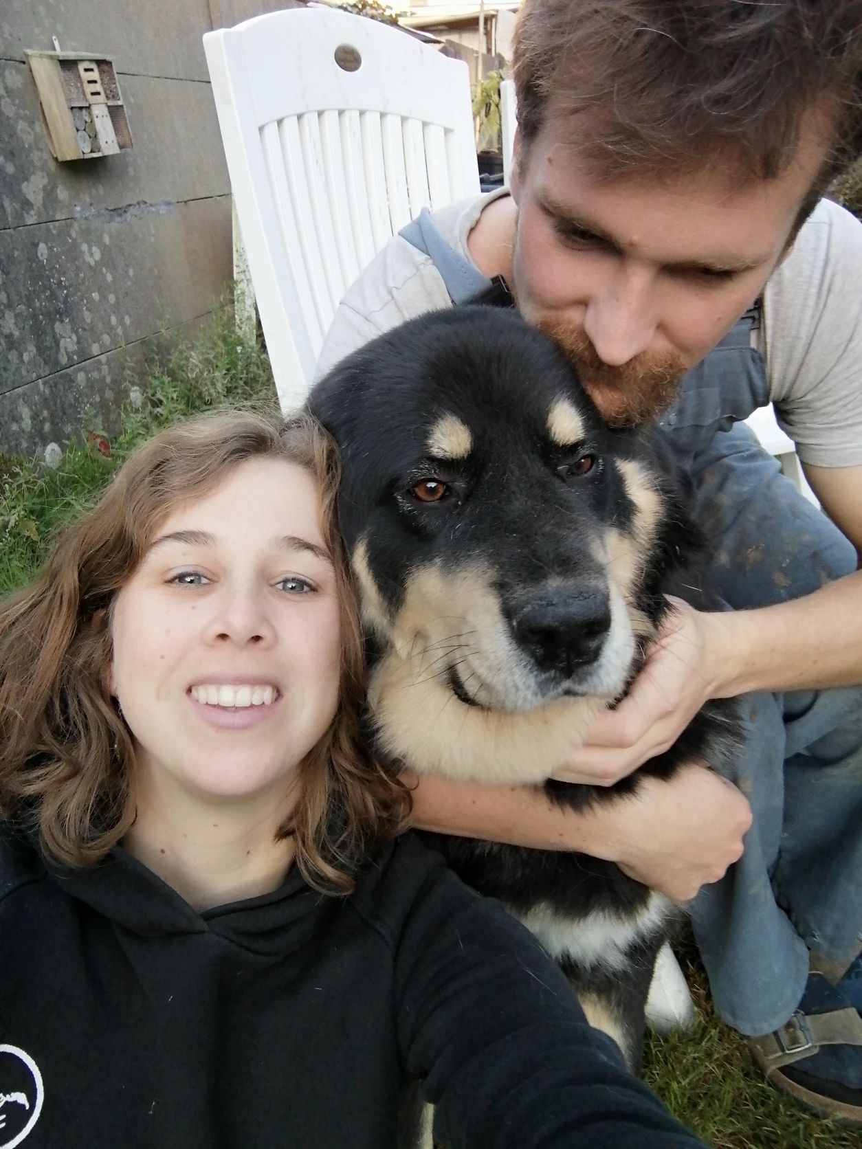 image-9