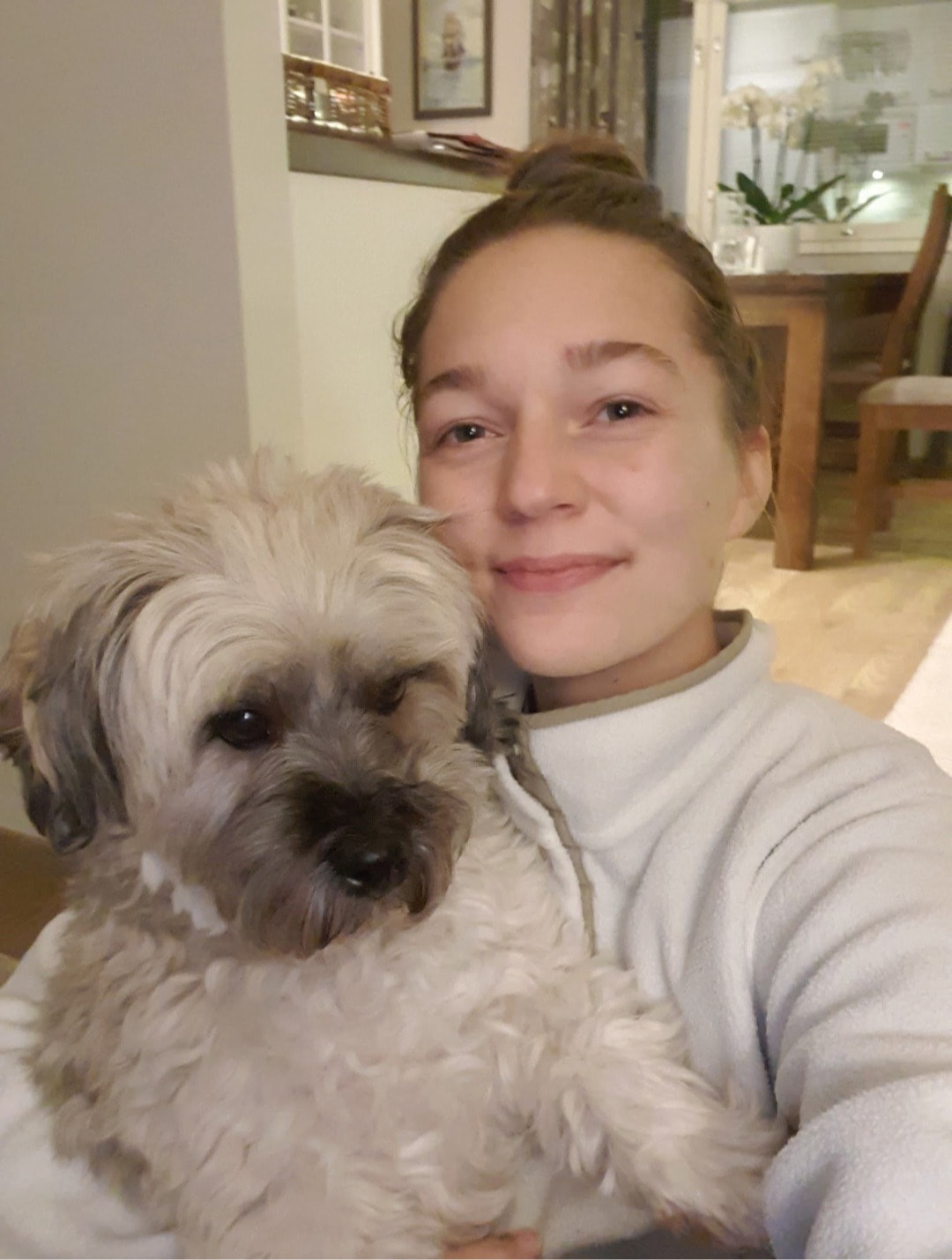 image-6