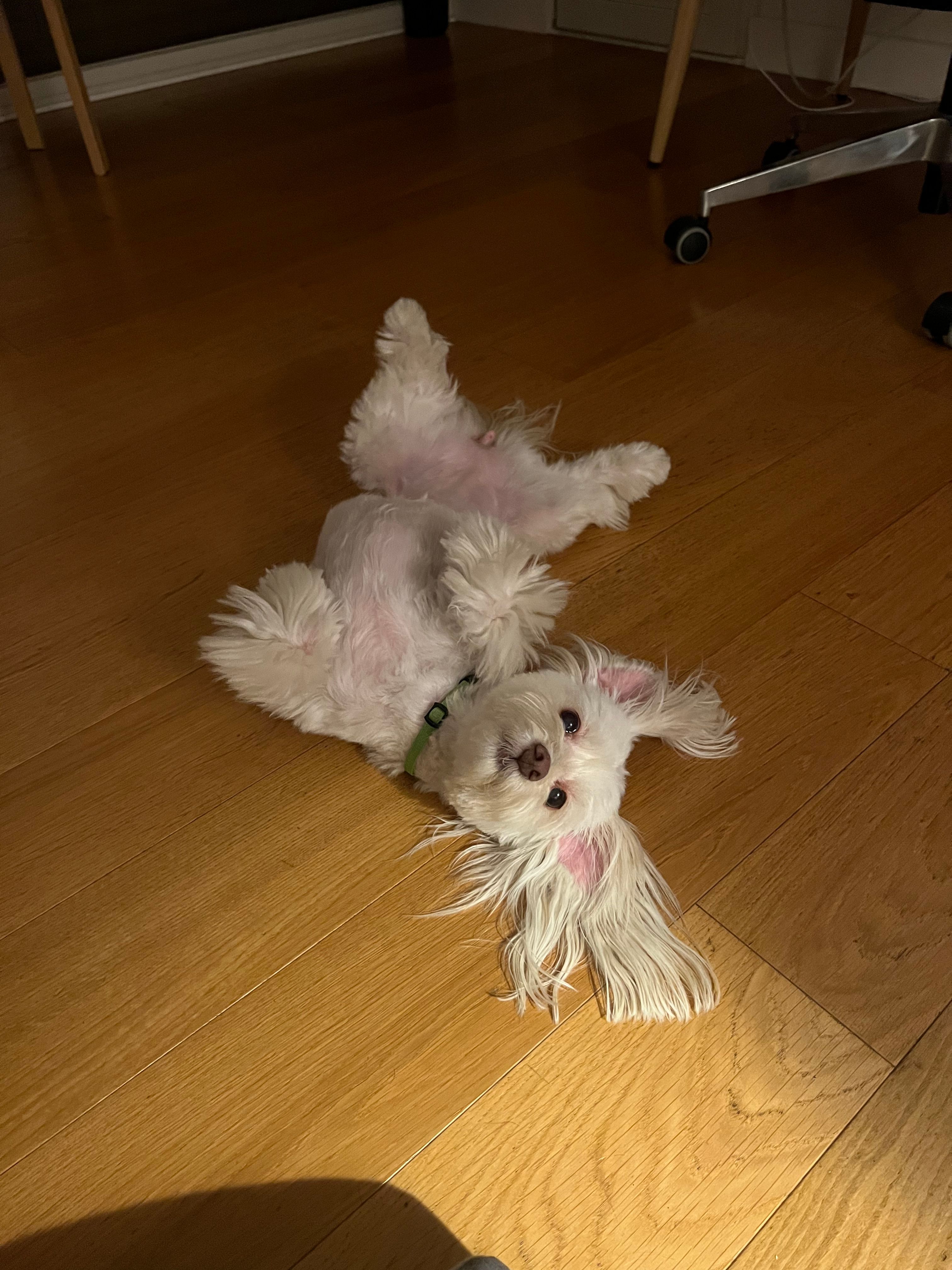 image-6