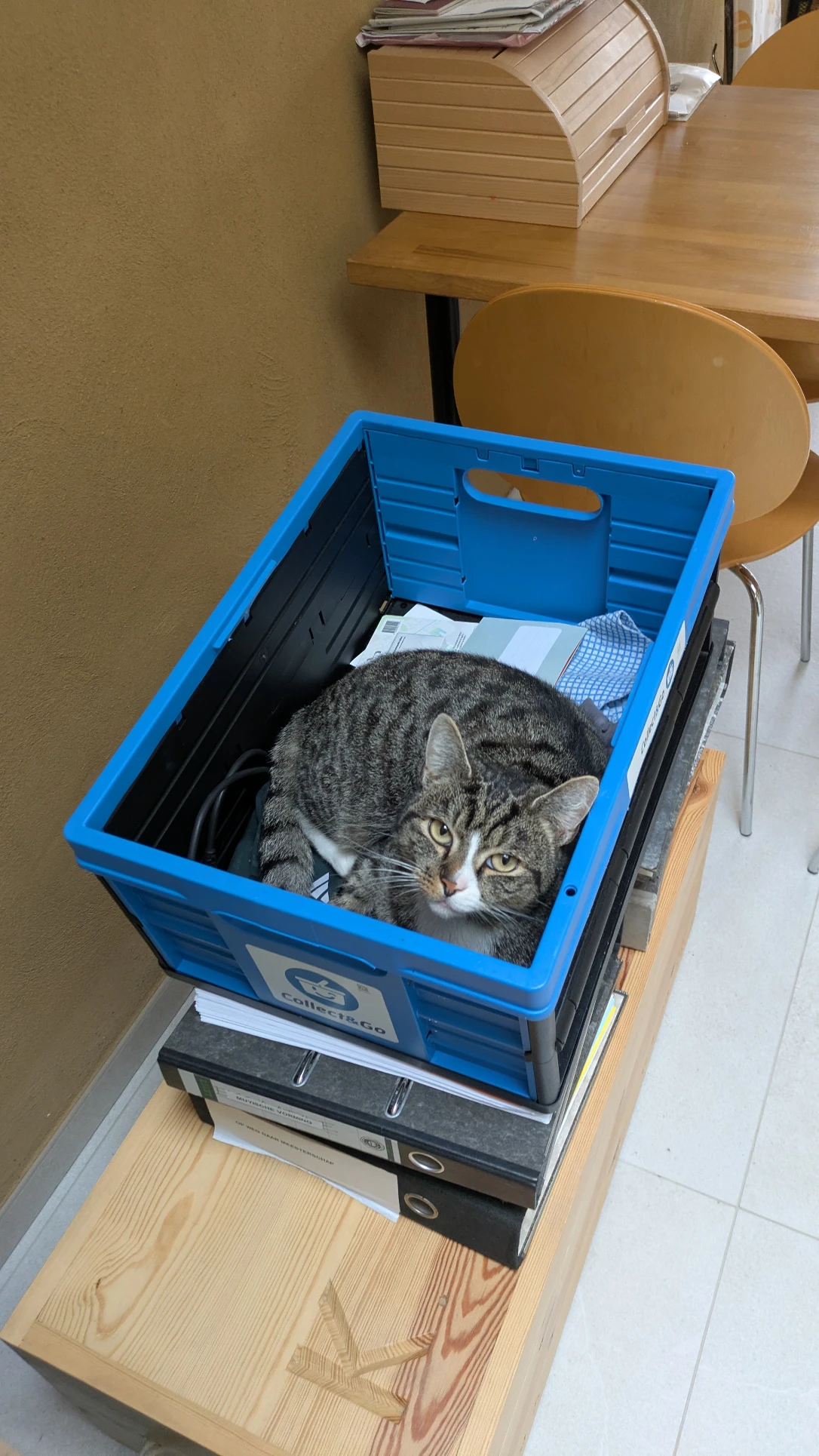 image-6