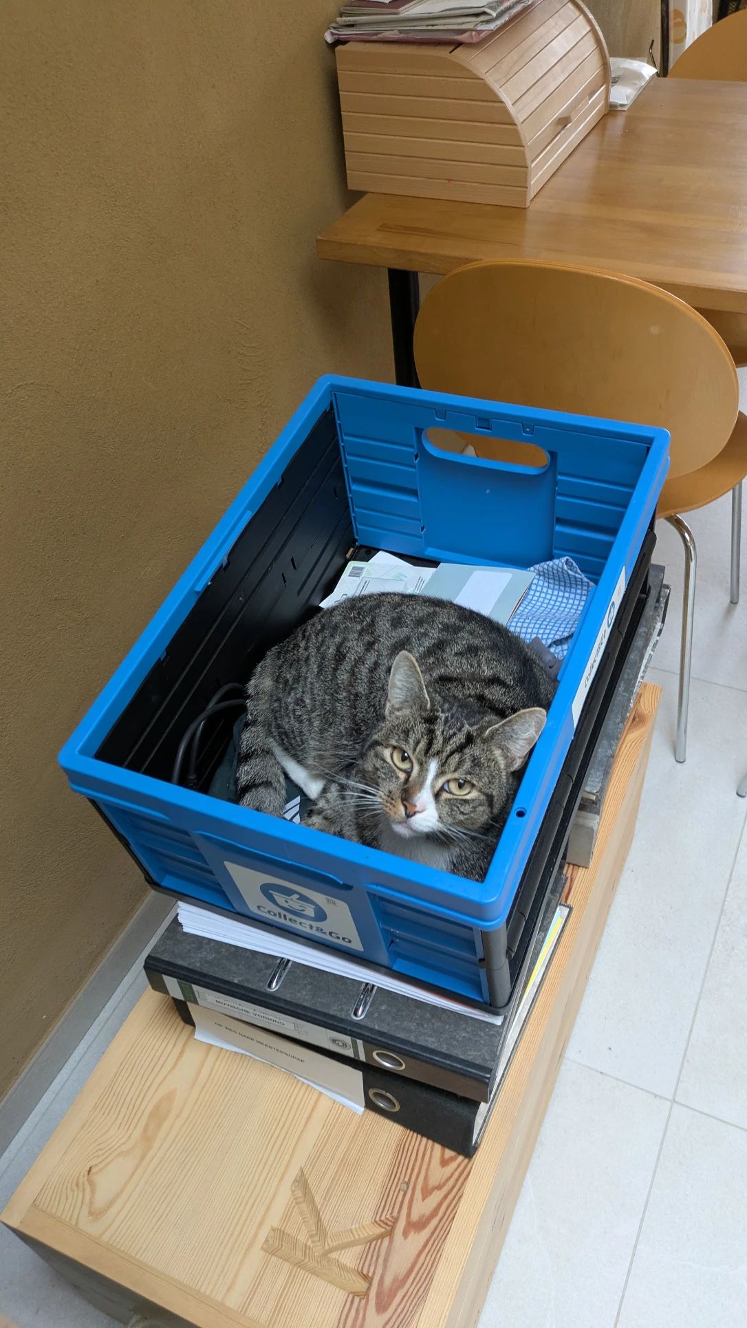 image-6