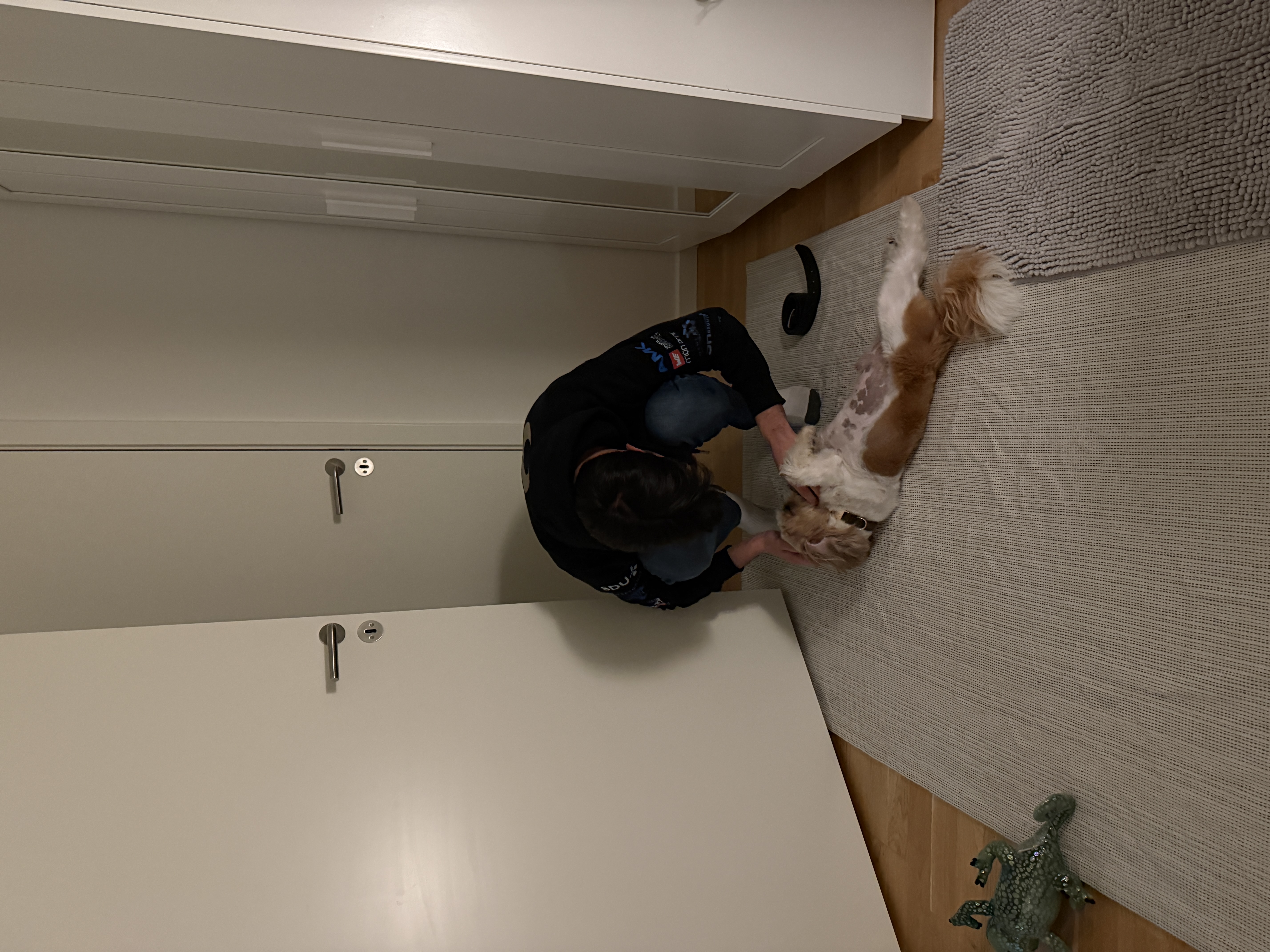 image-11