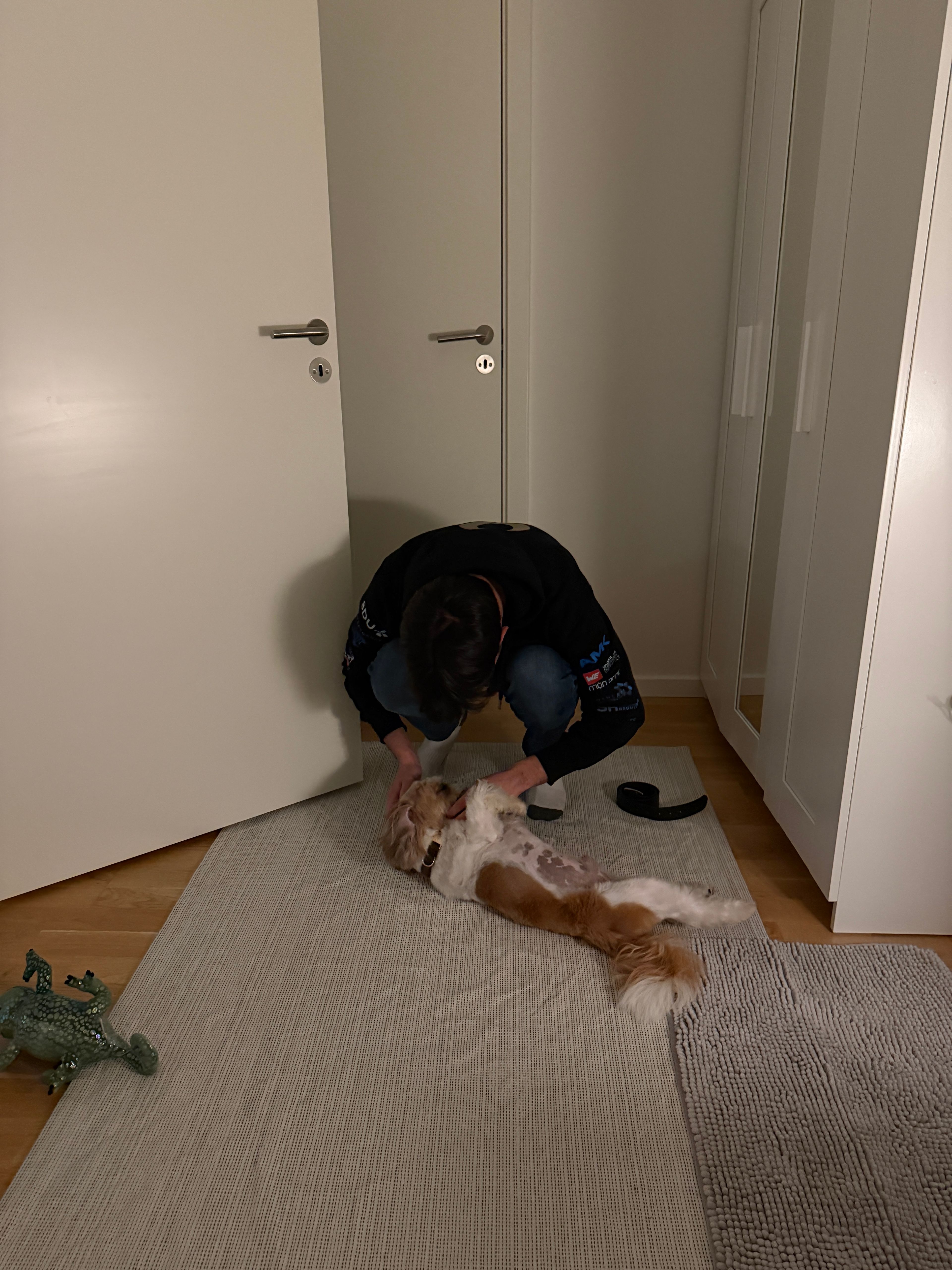 image-11