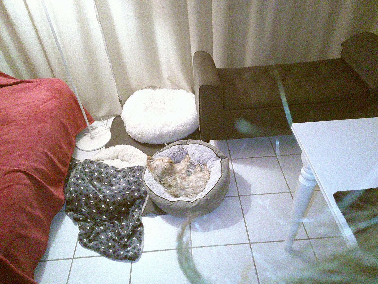 image-15