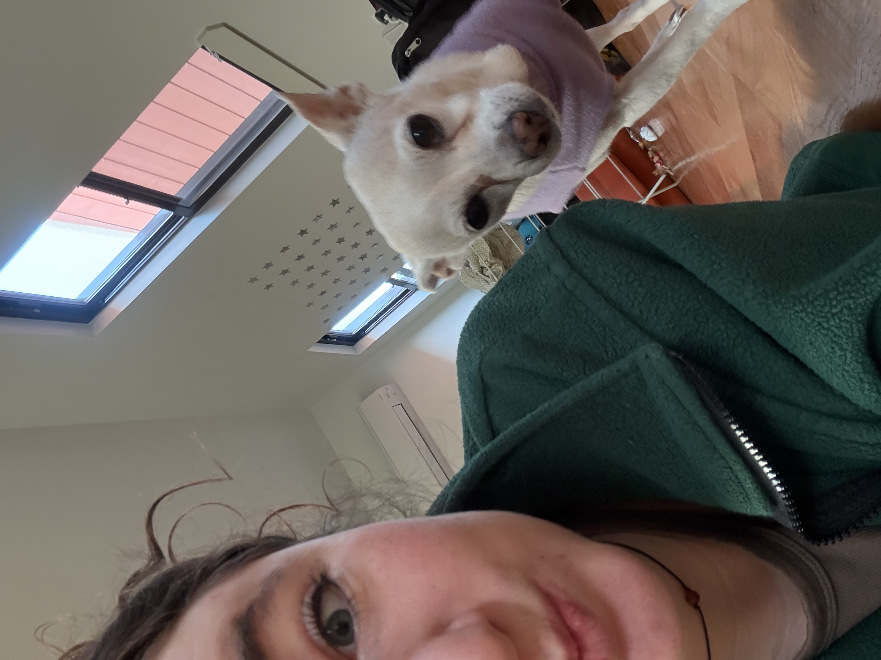 image-5