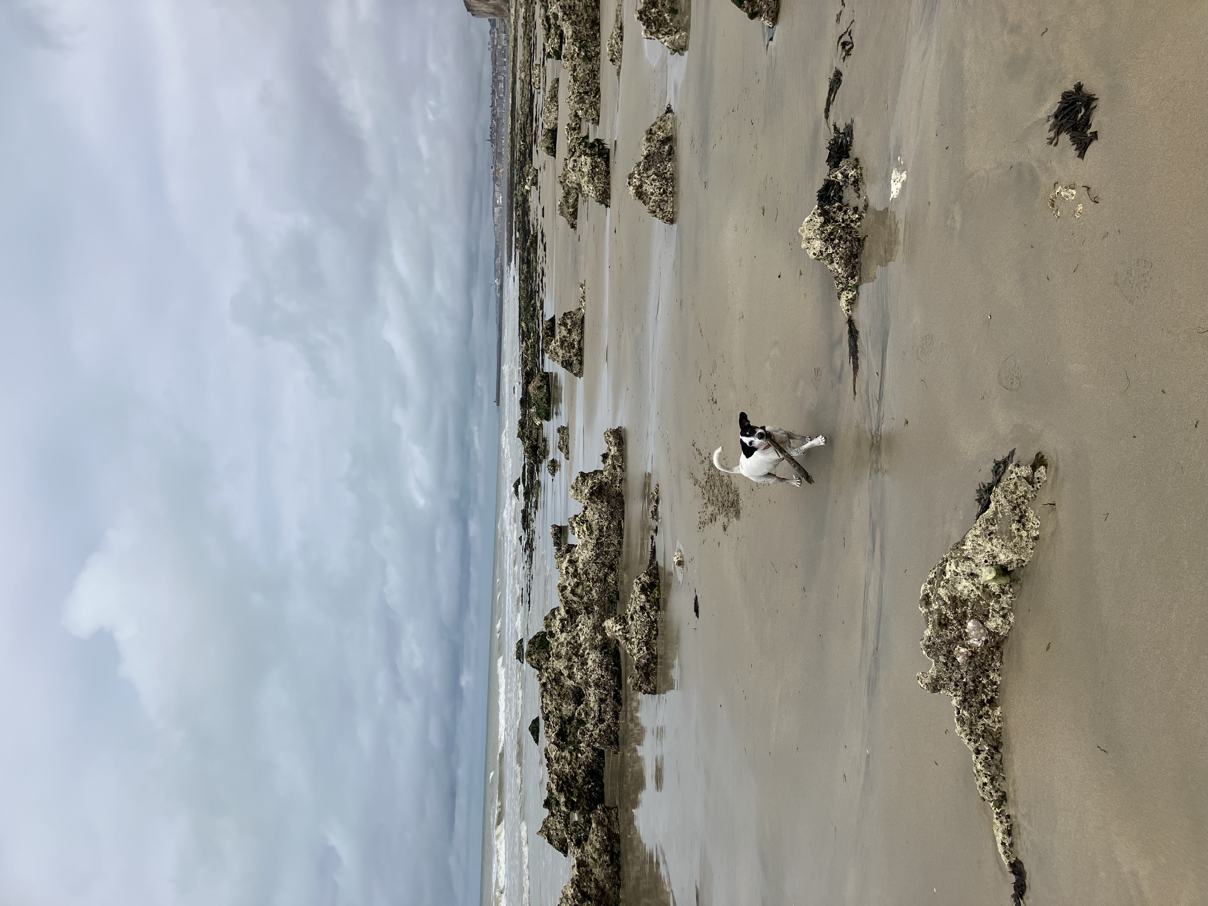 image-9