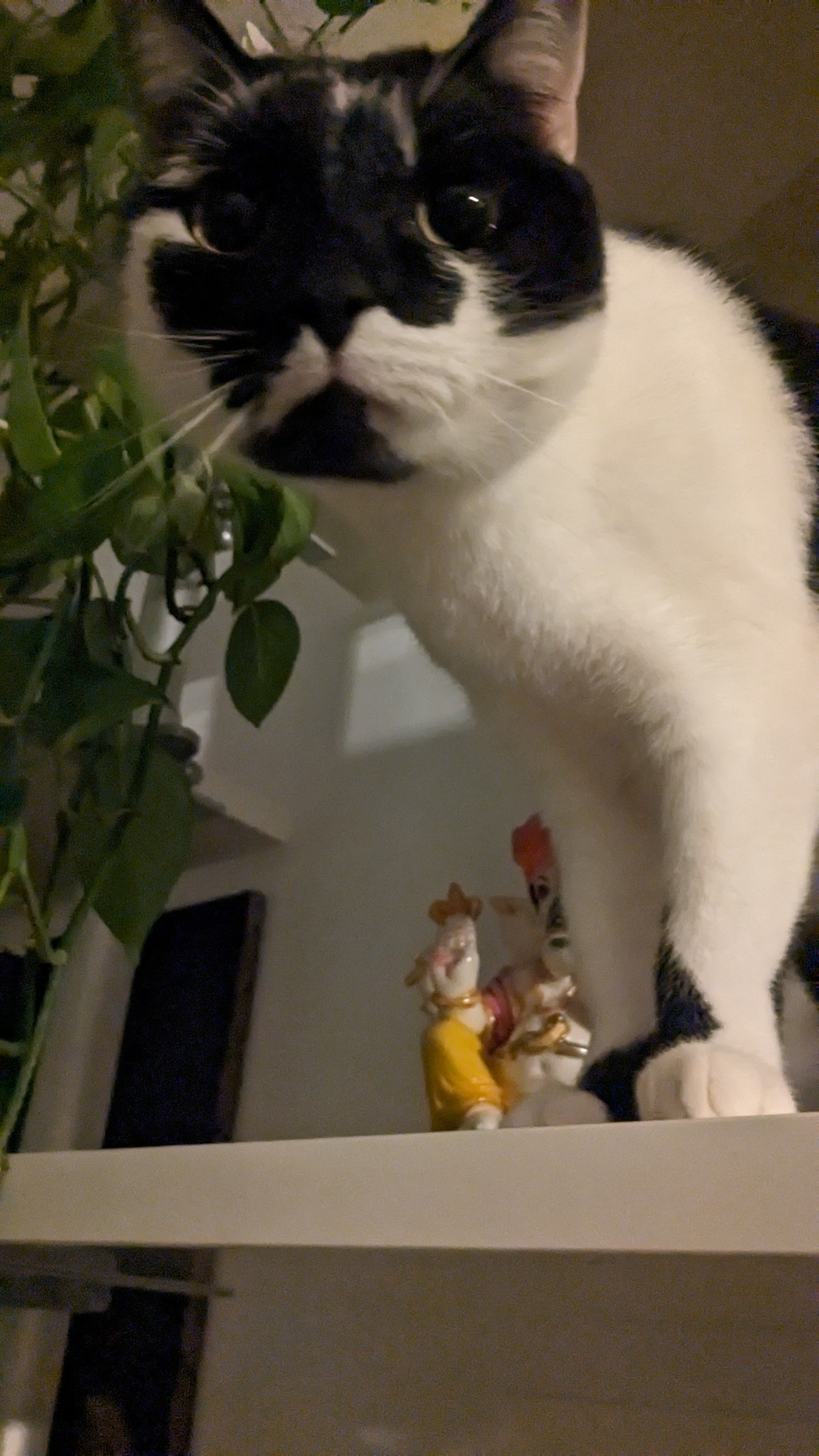 image-10