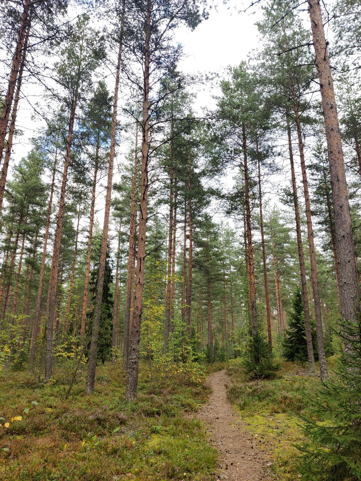image-19