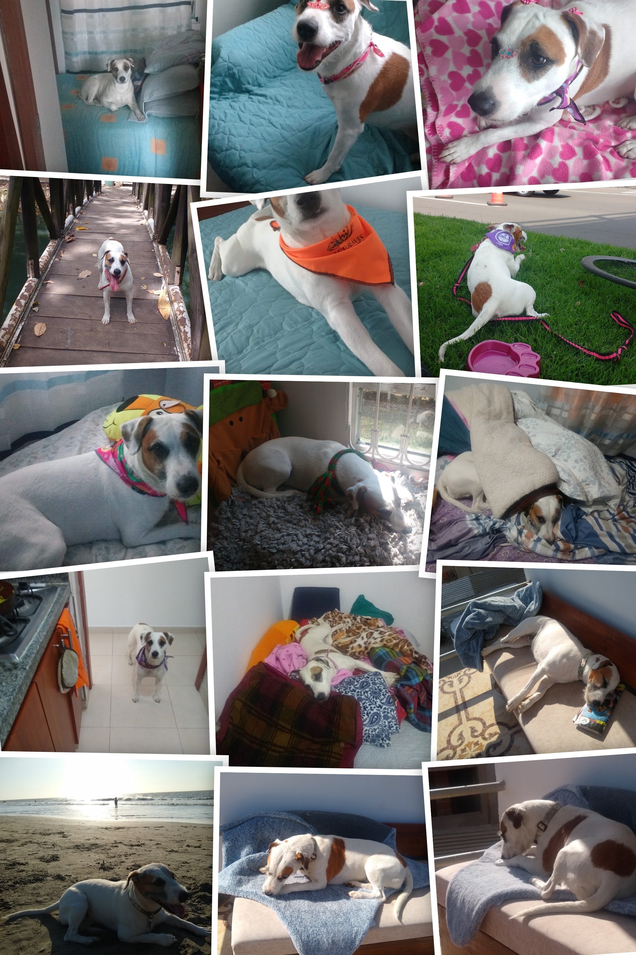 image-5