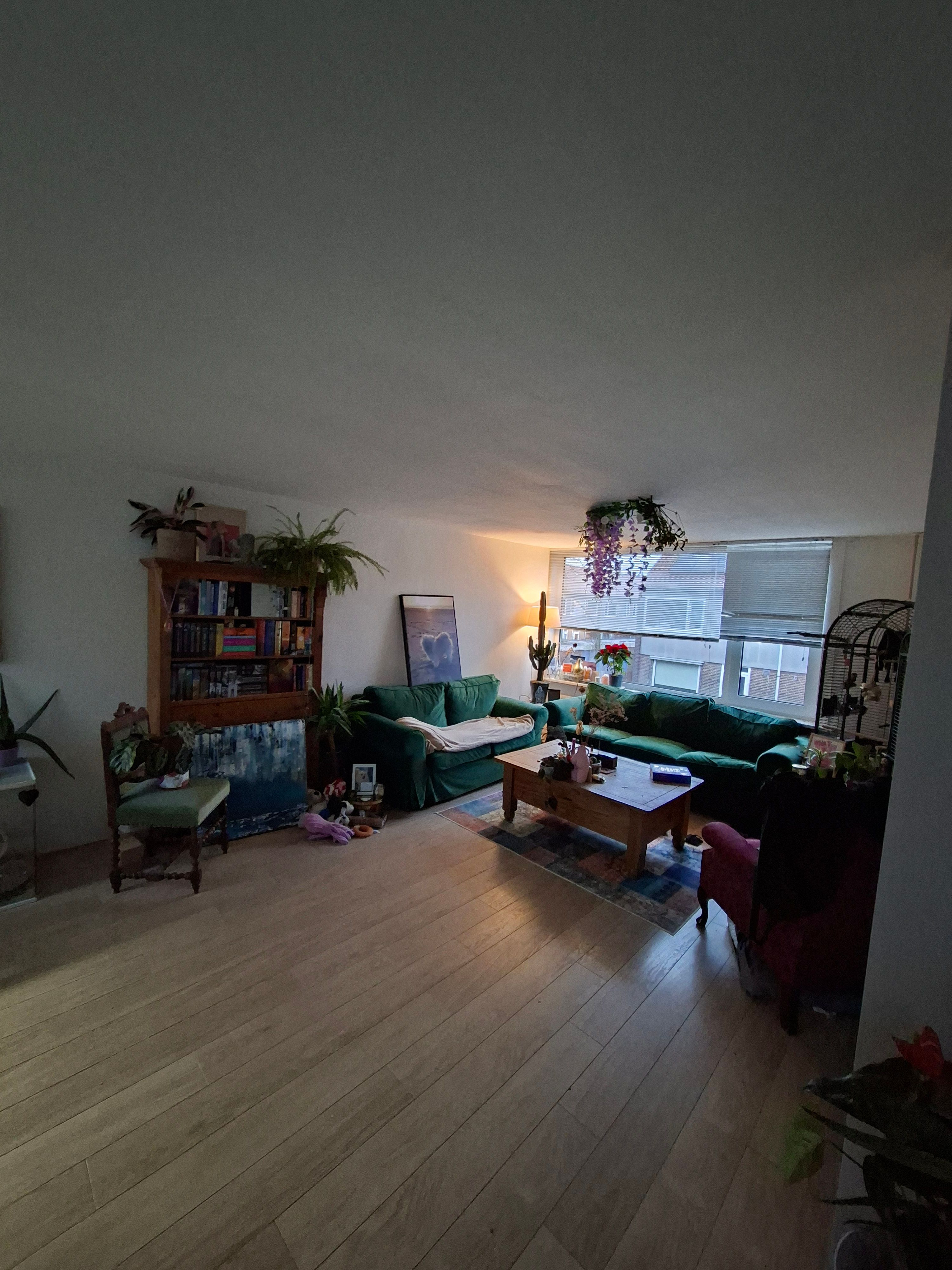 image-15