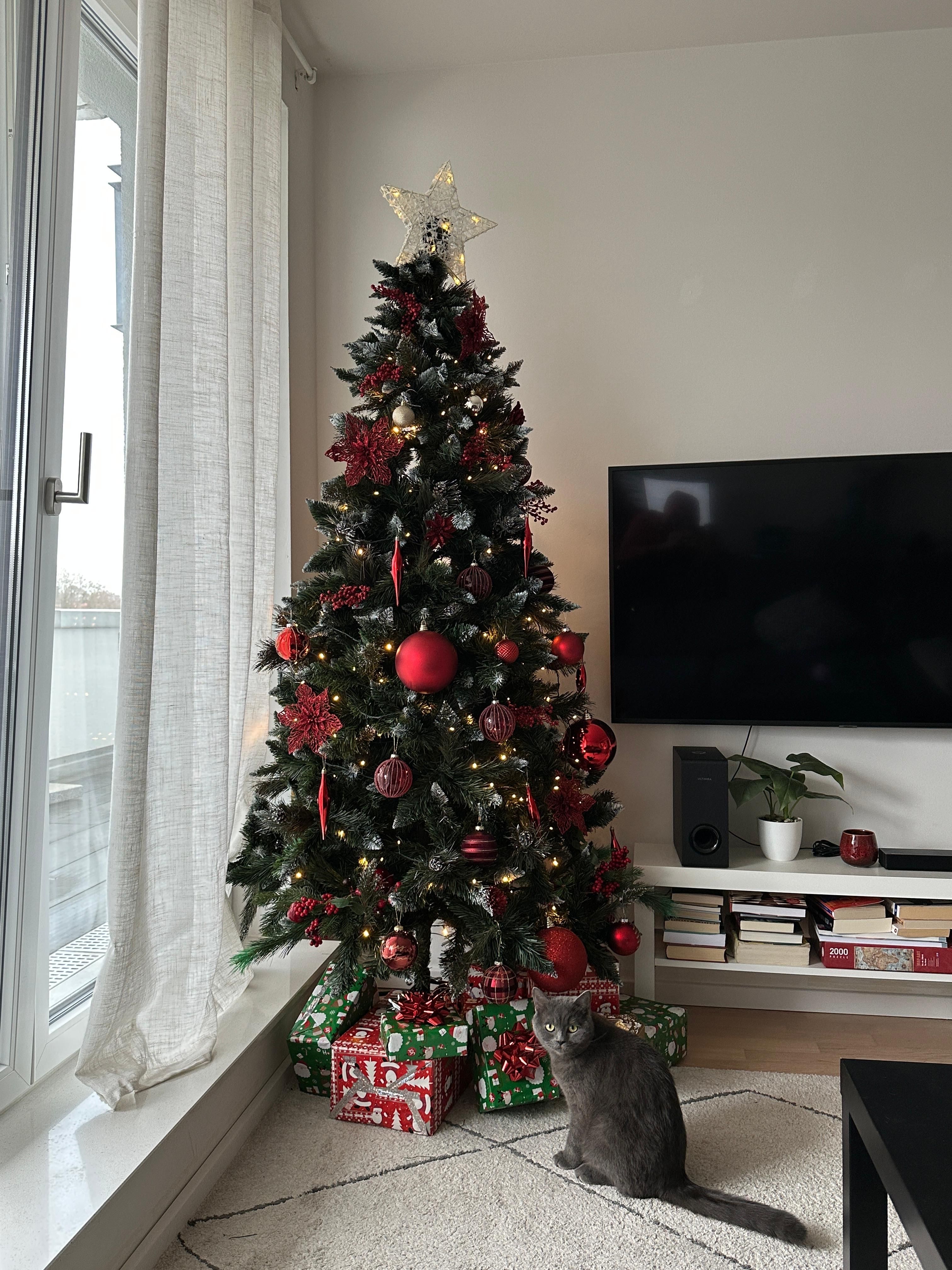 image-14