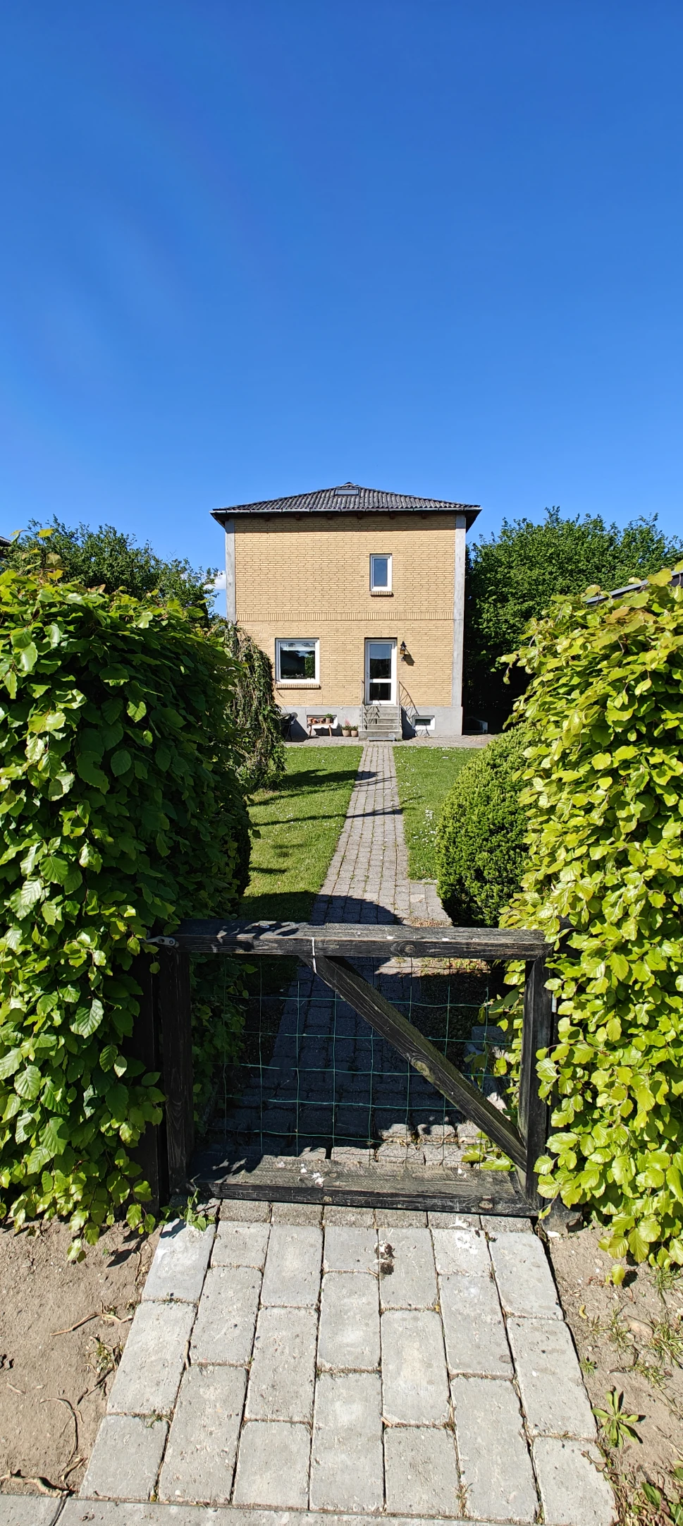 image-7