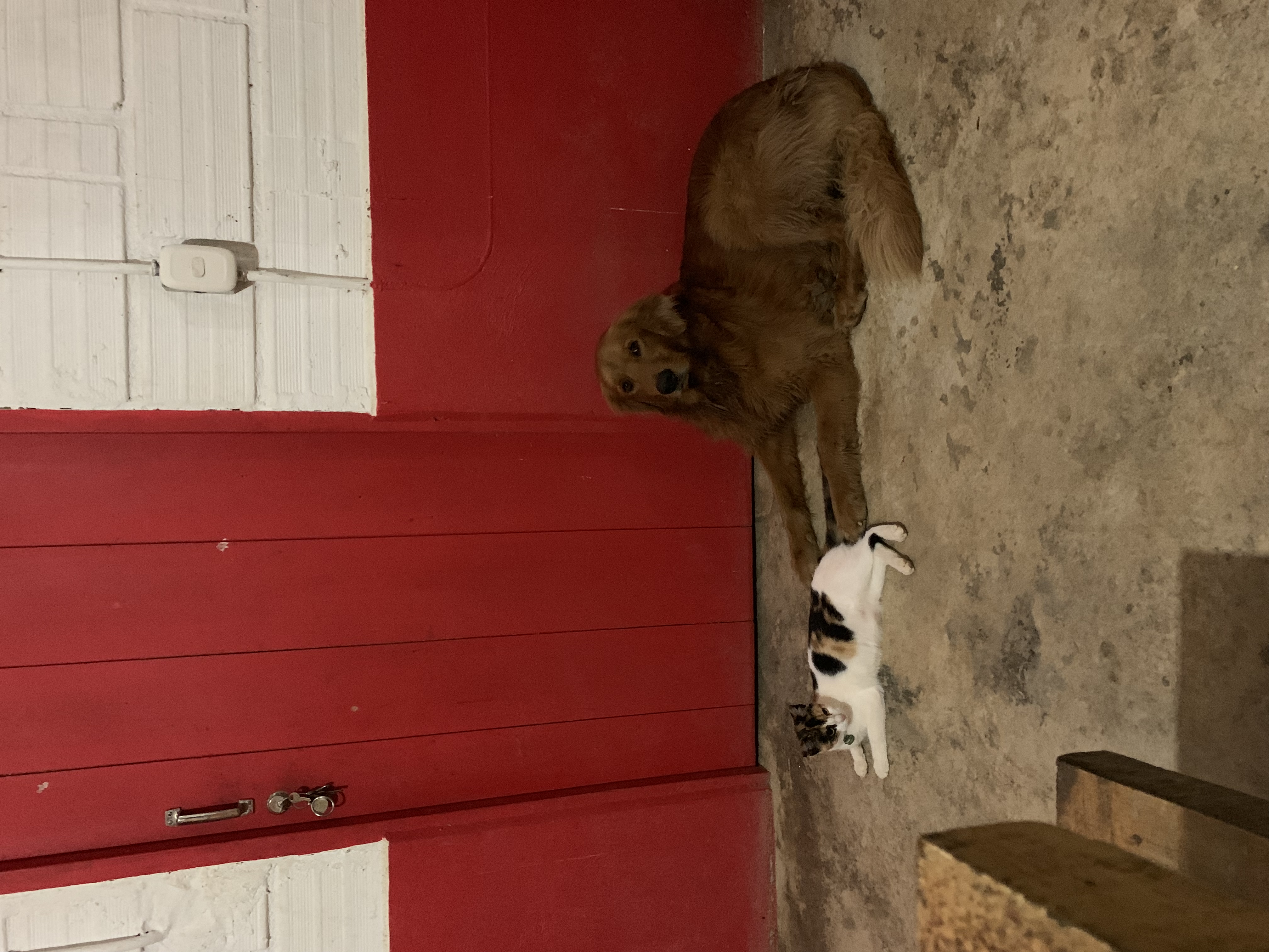 image-6