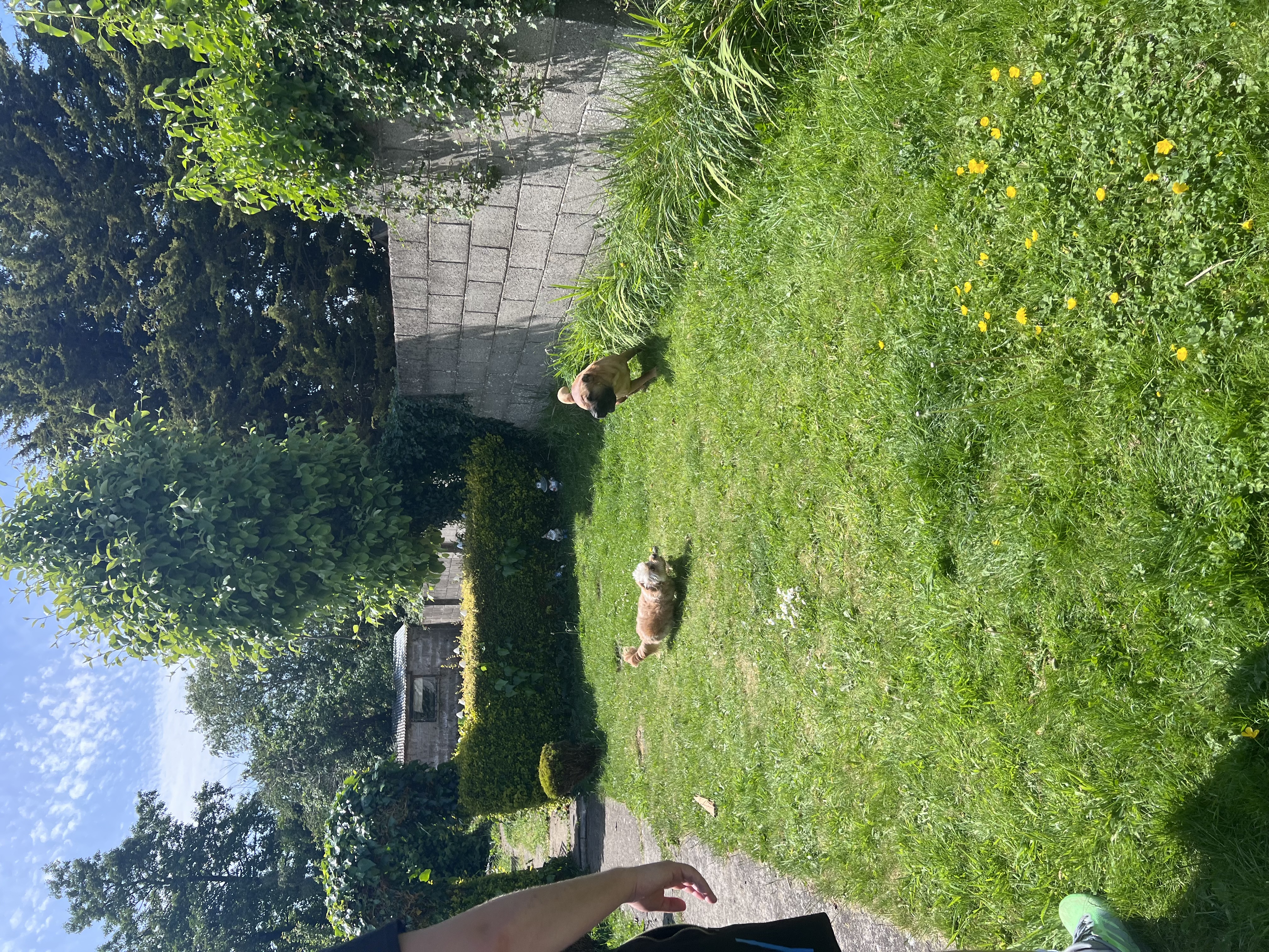 image-13