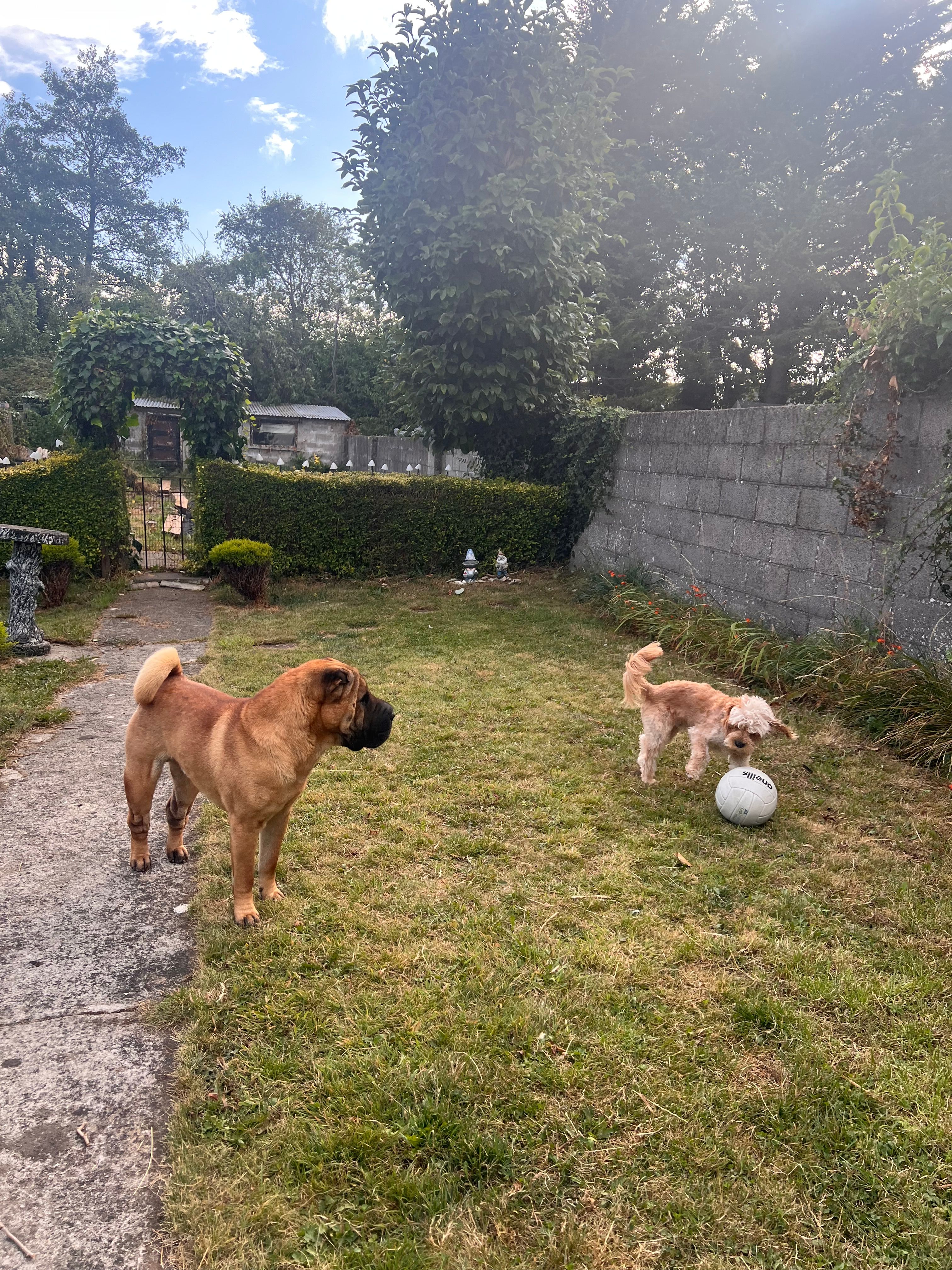image-17