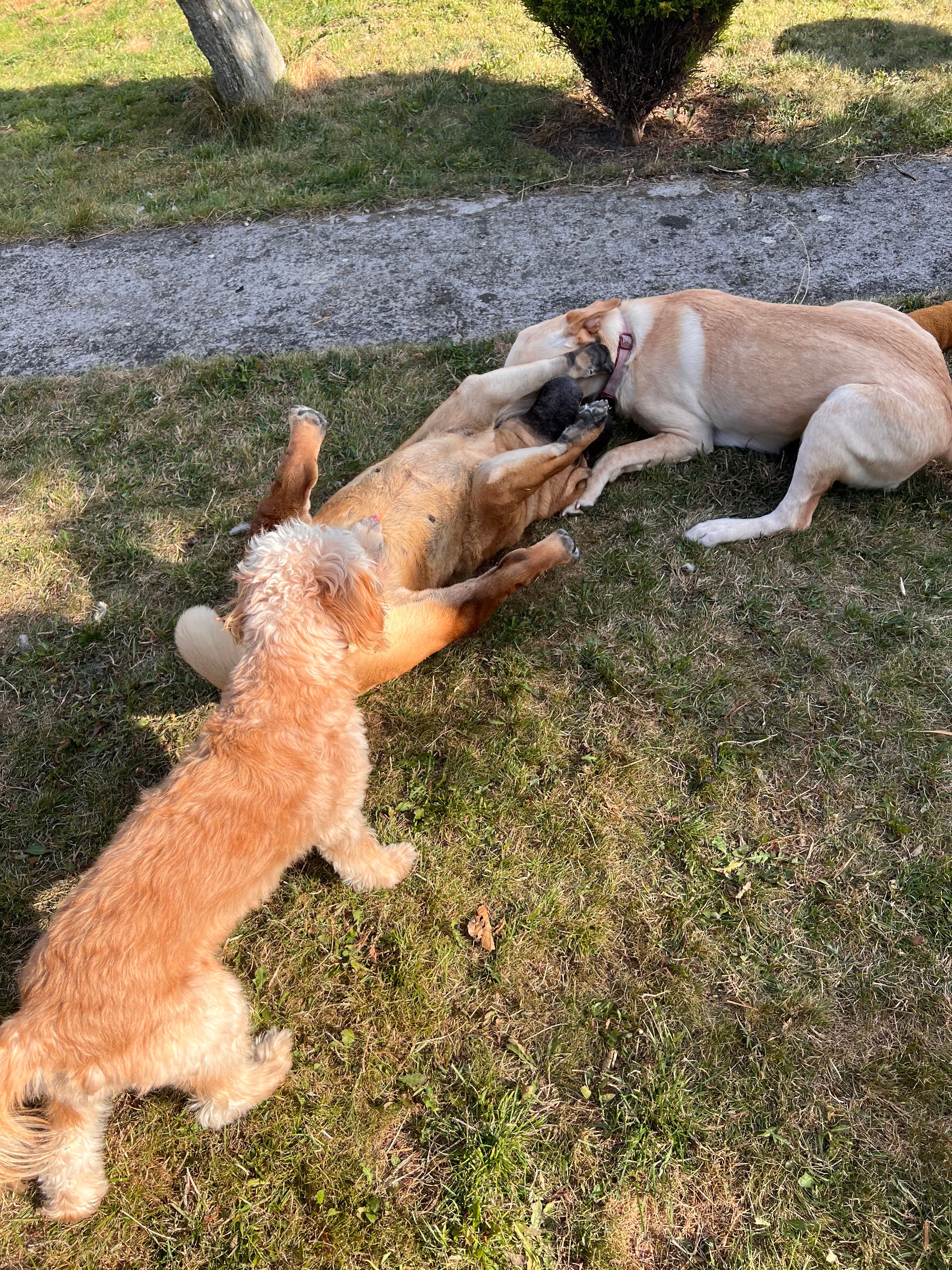 image-15