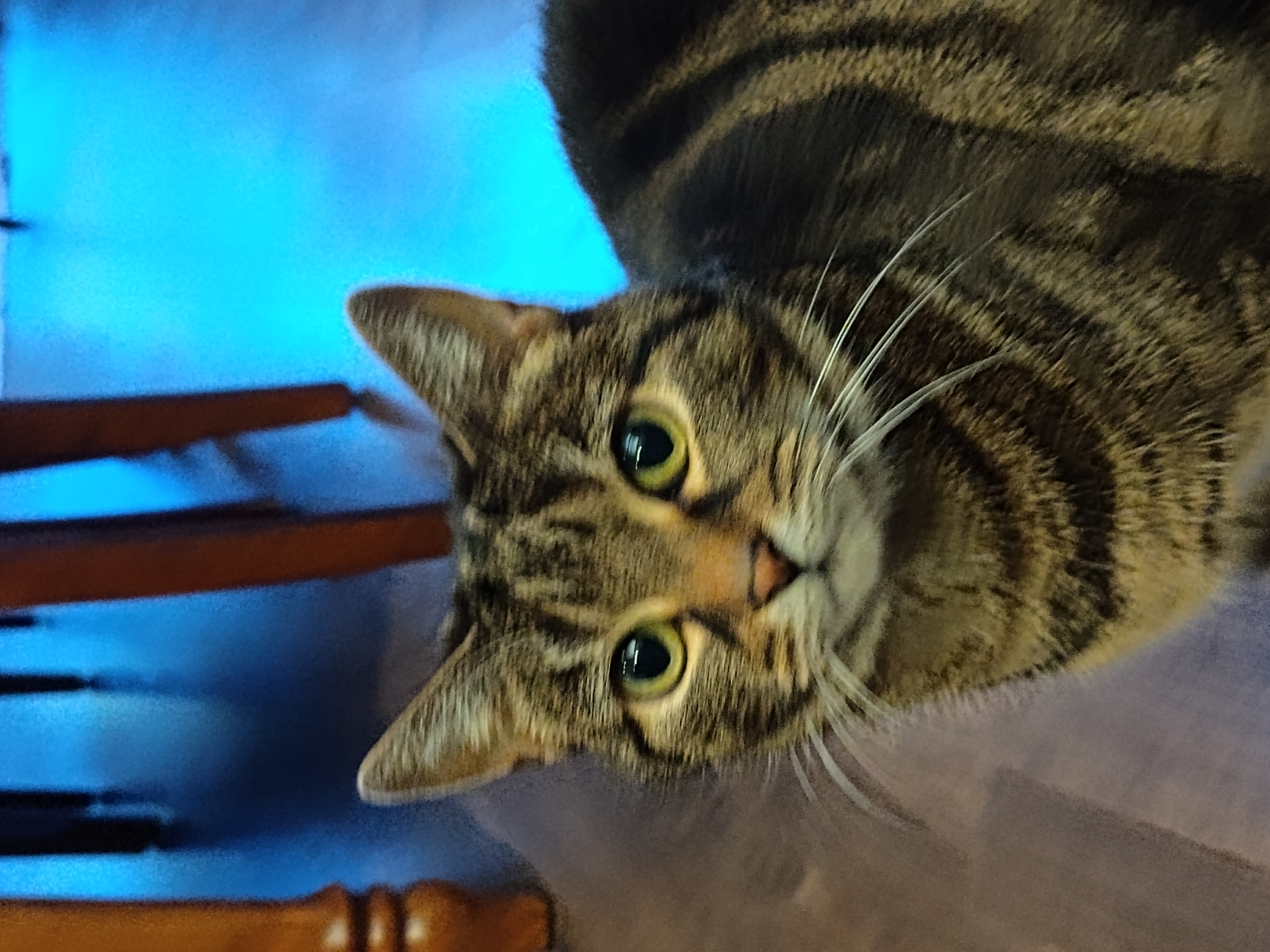 image-6