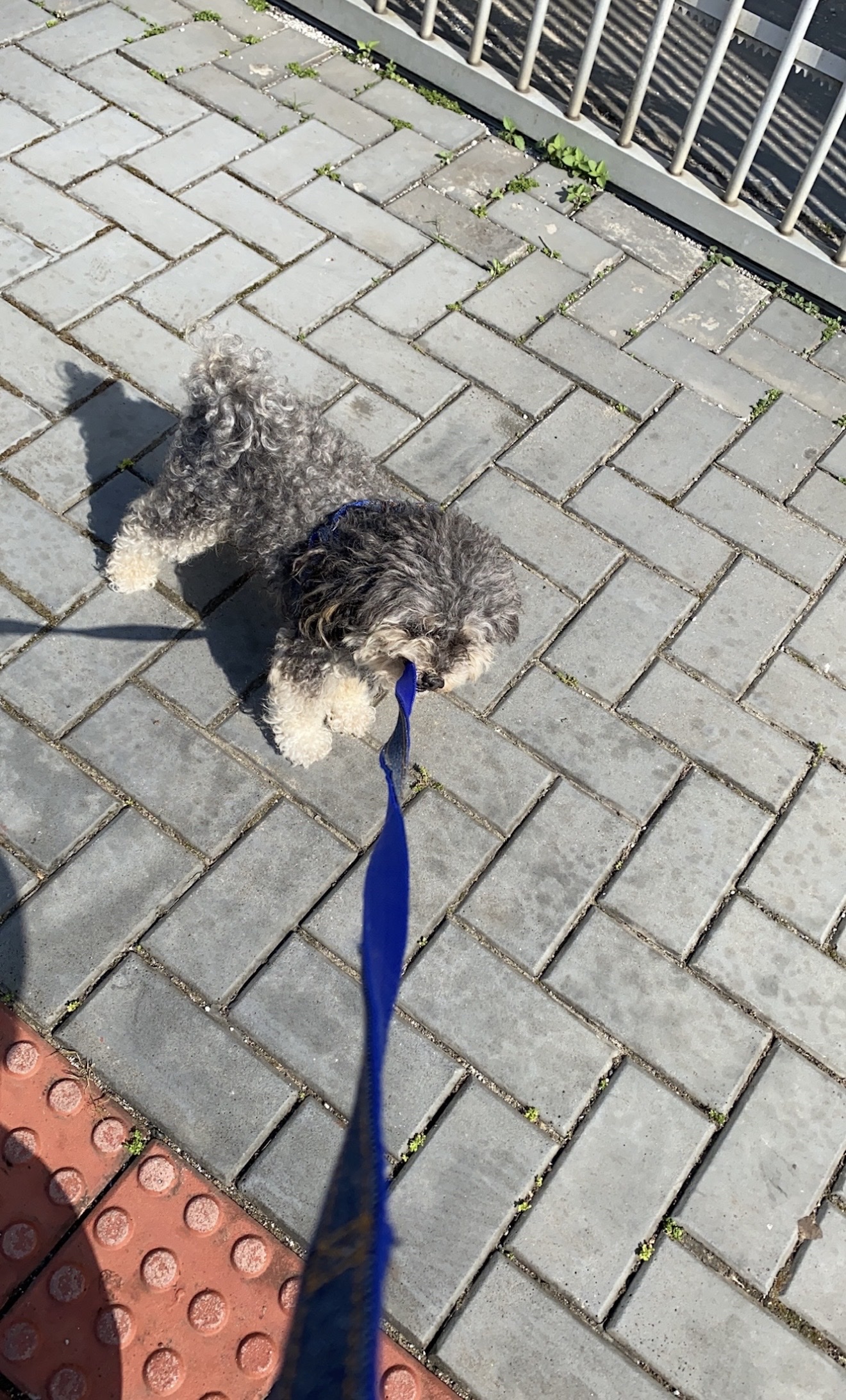 image-10