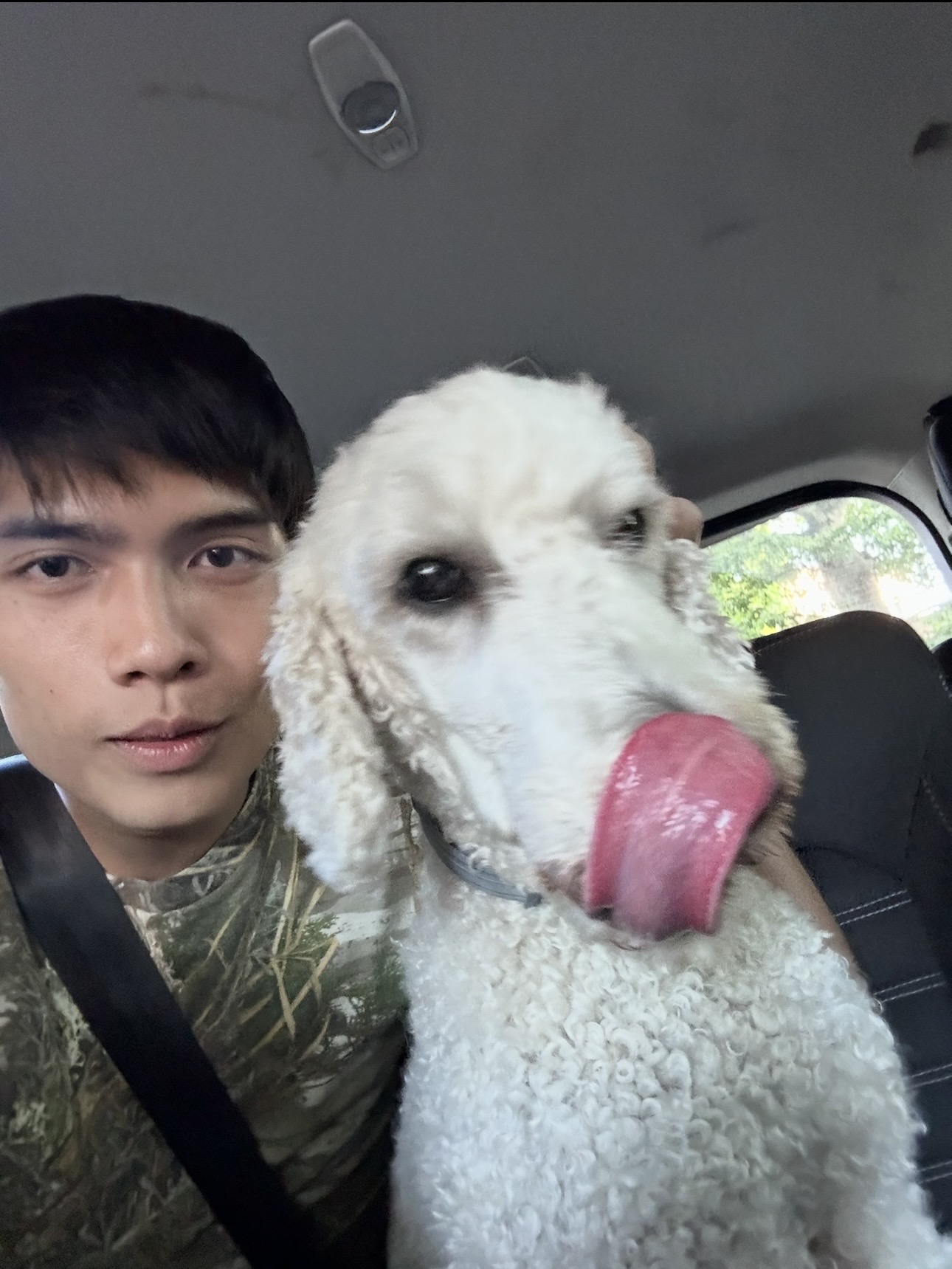 image-4