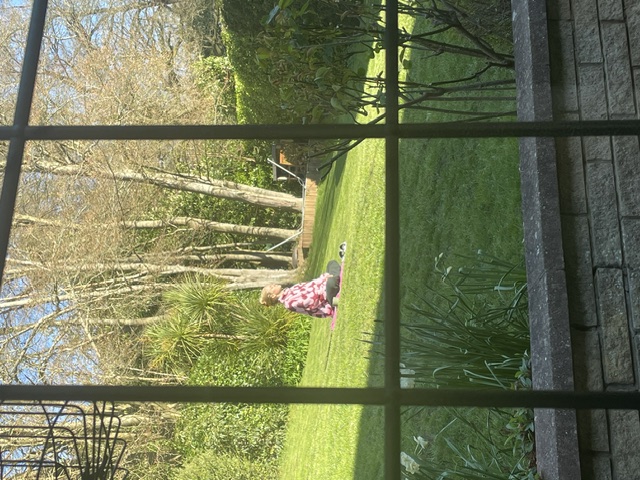 image-11