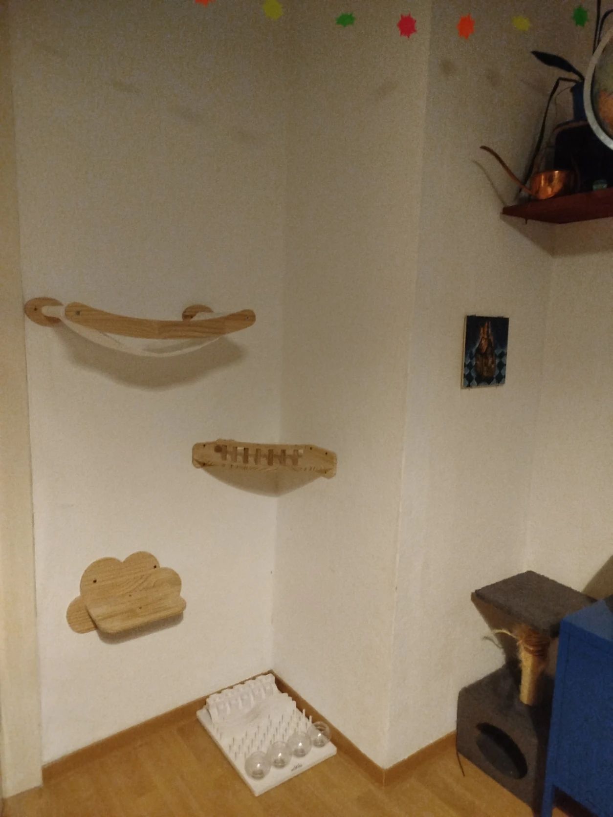 image-20