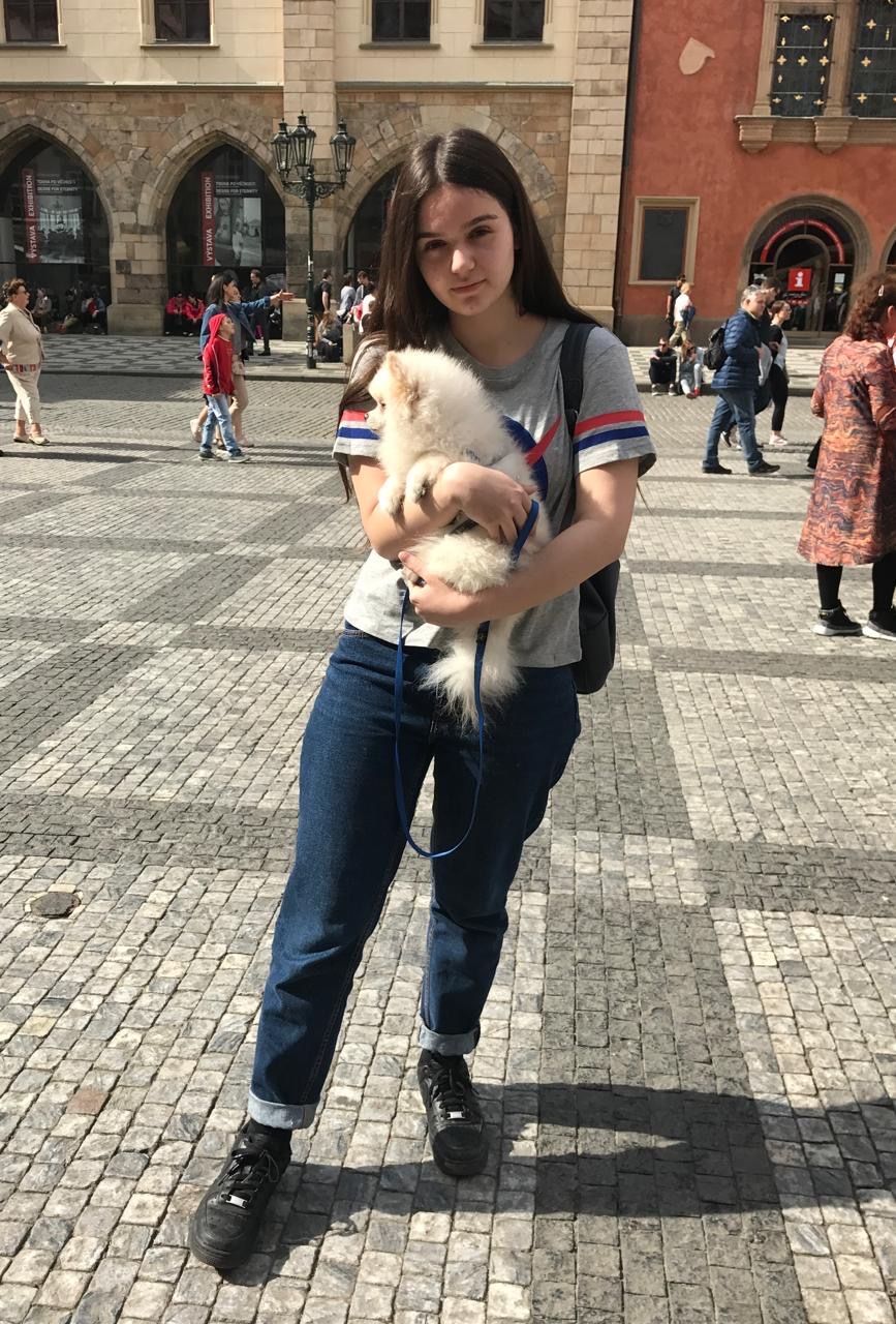 image-9