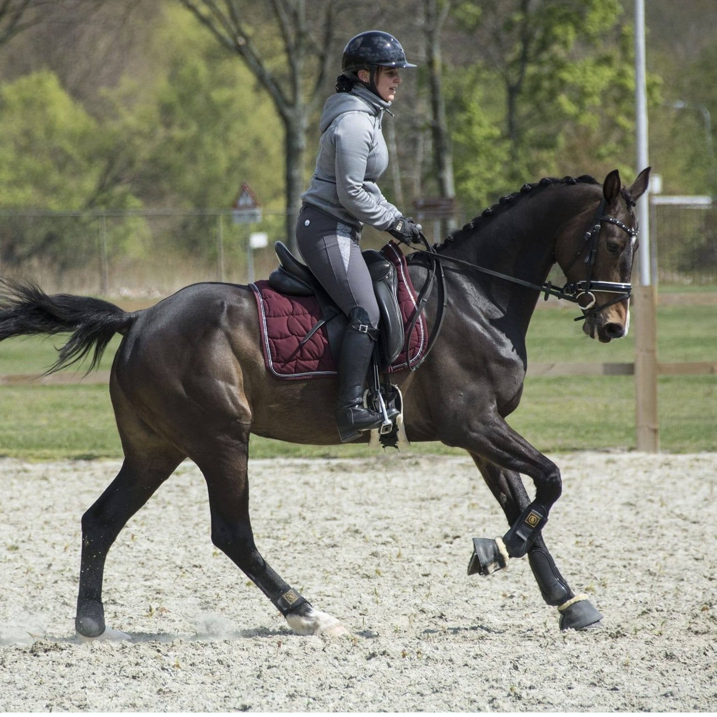 Jolie van het Bloemenhof