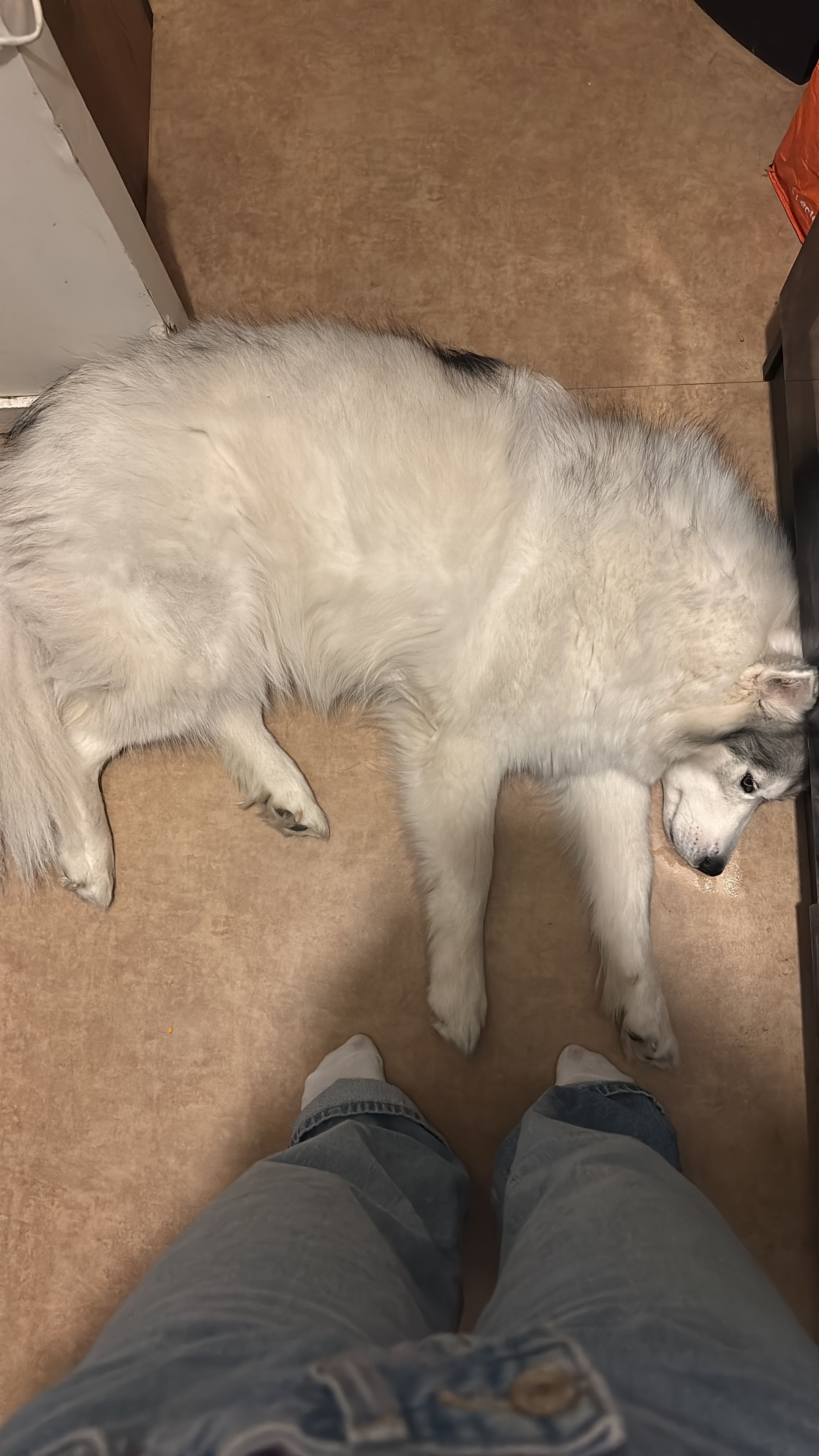 image-6