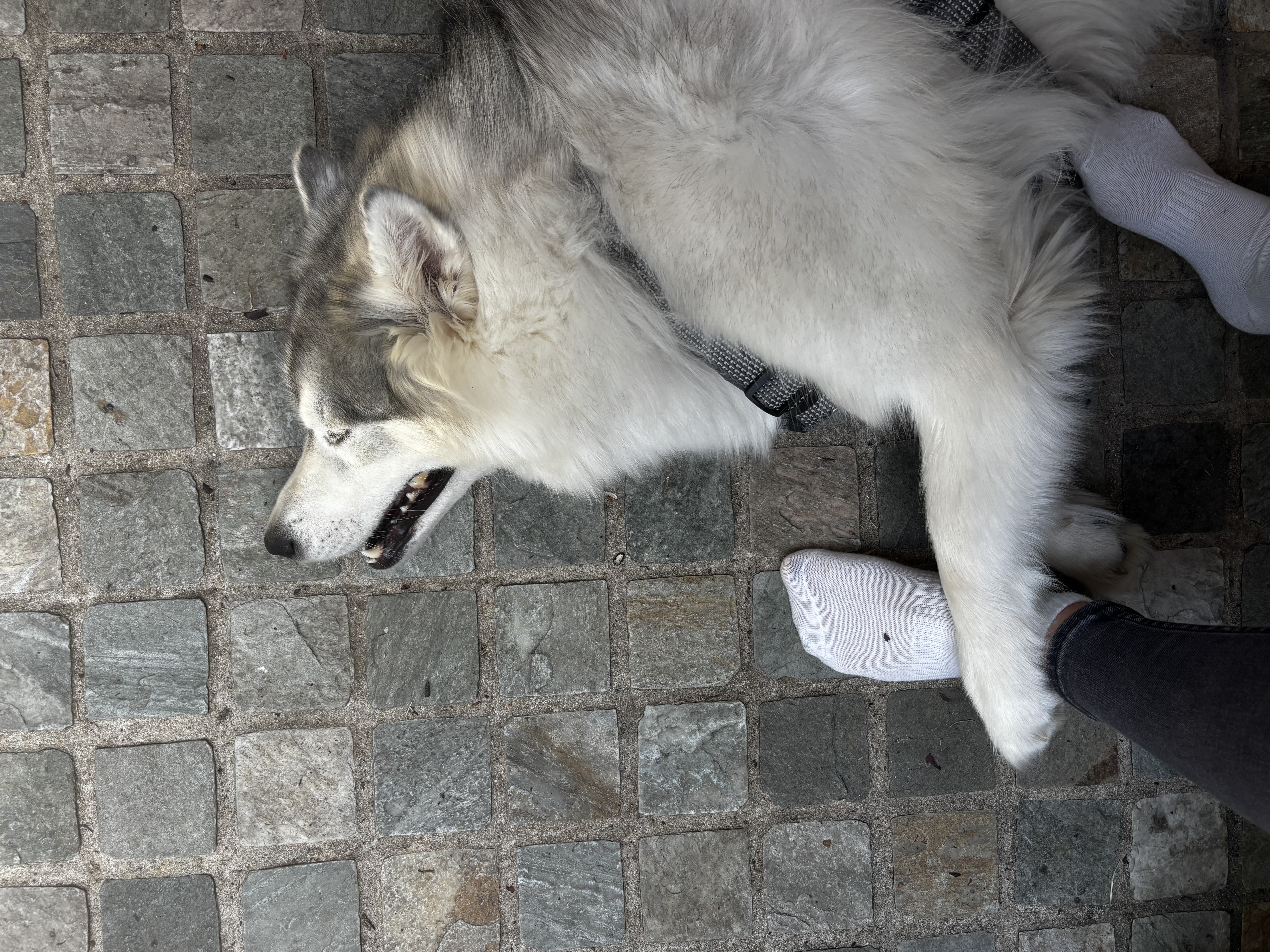 image-5