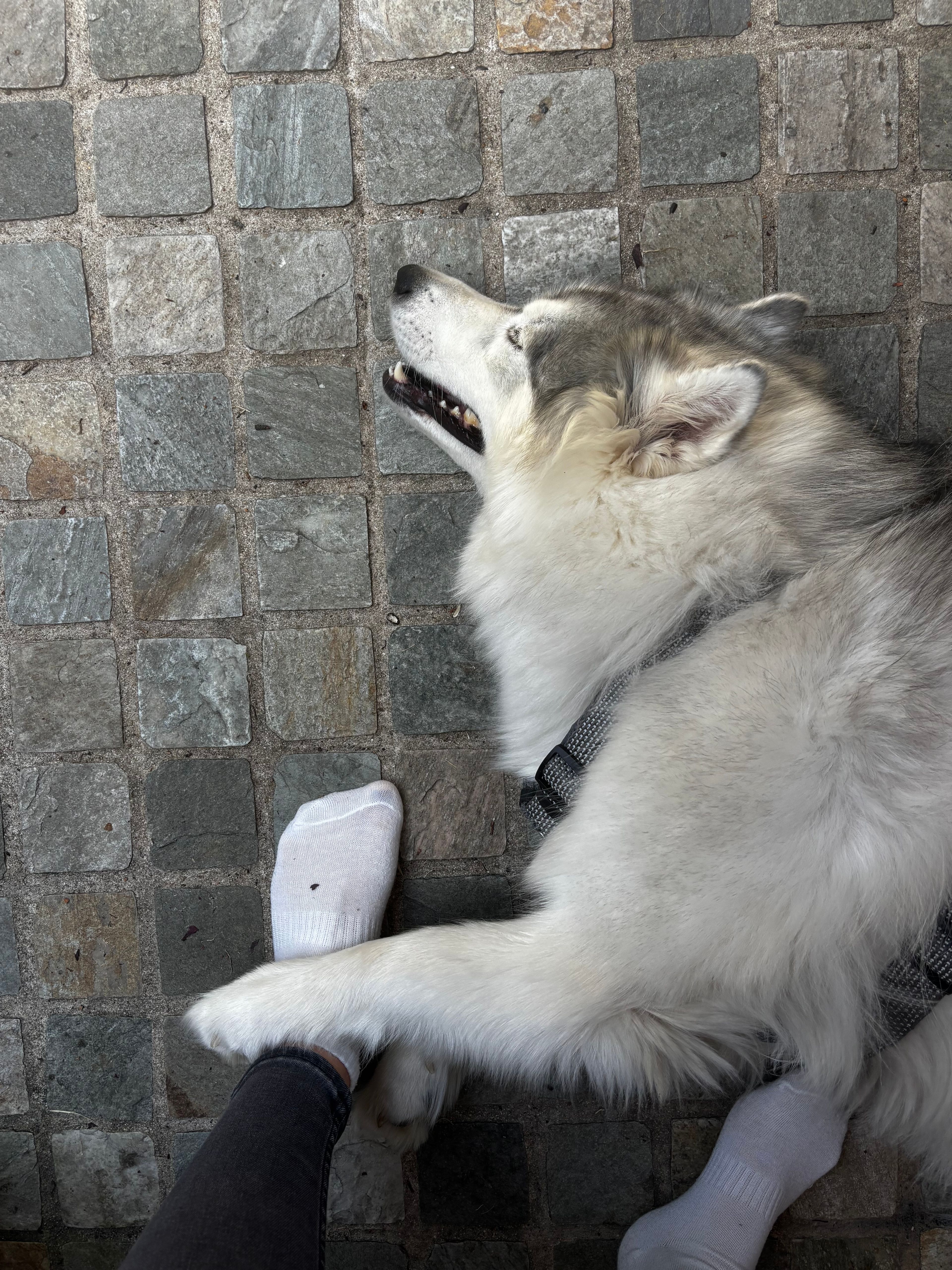 image-5