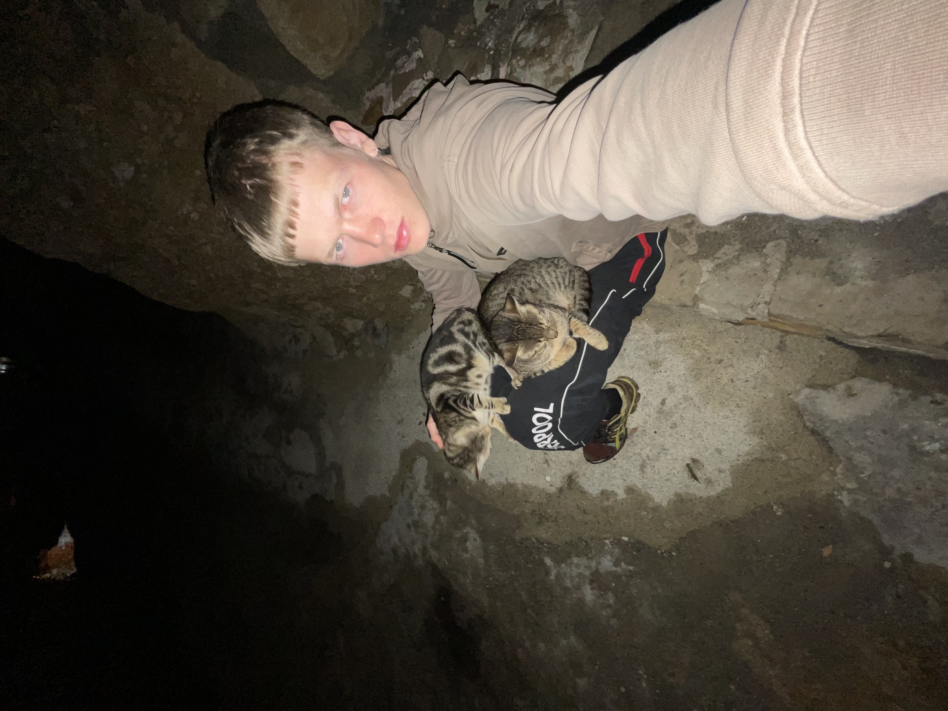 image-10