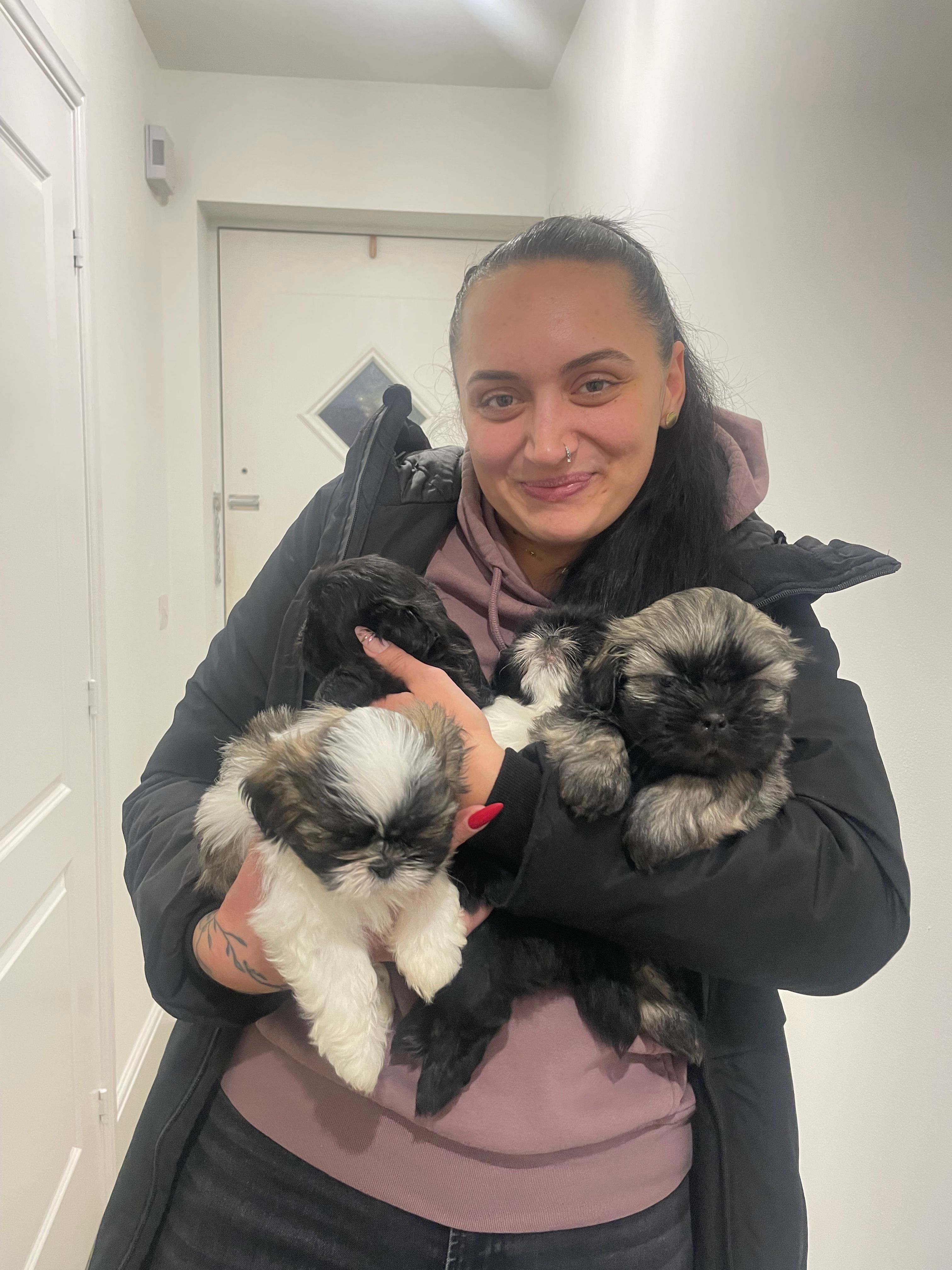 image-1
