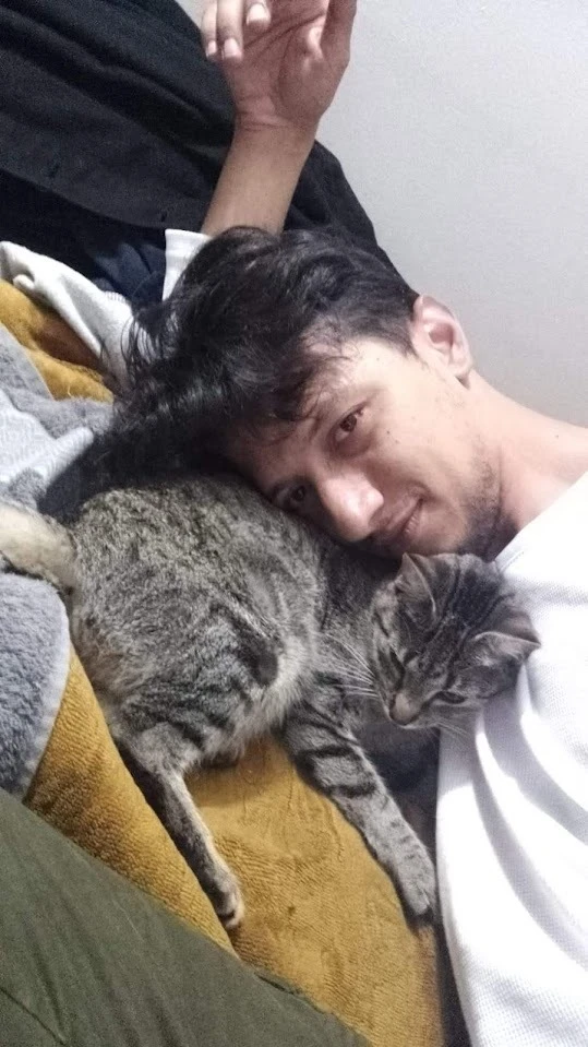 image-6