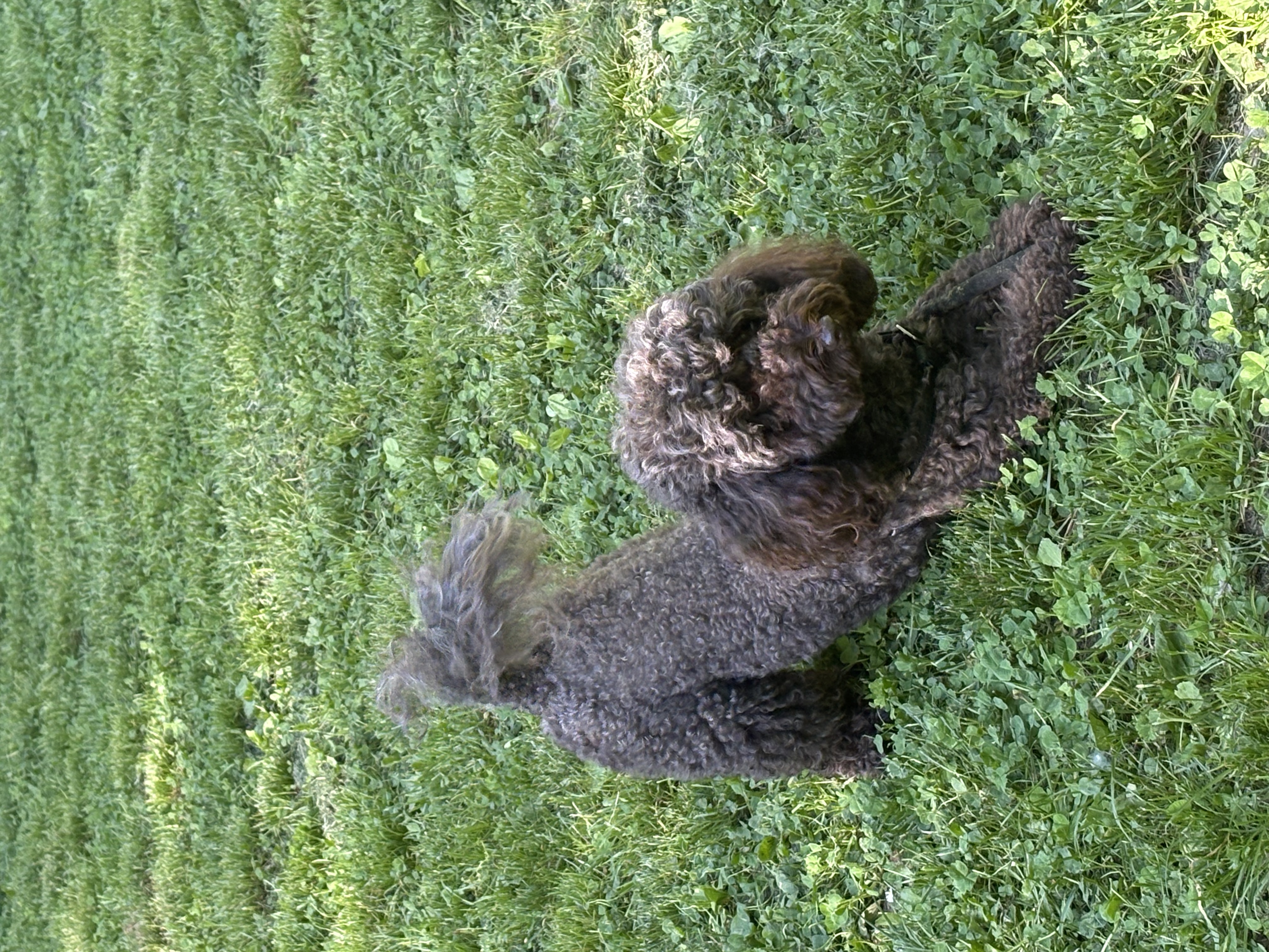 image-10