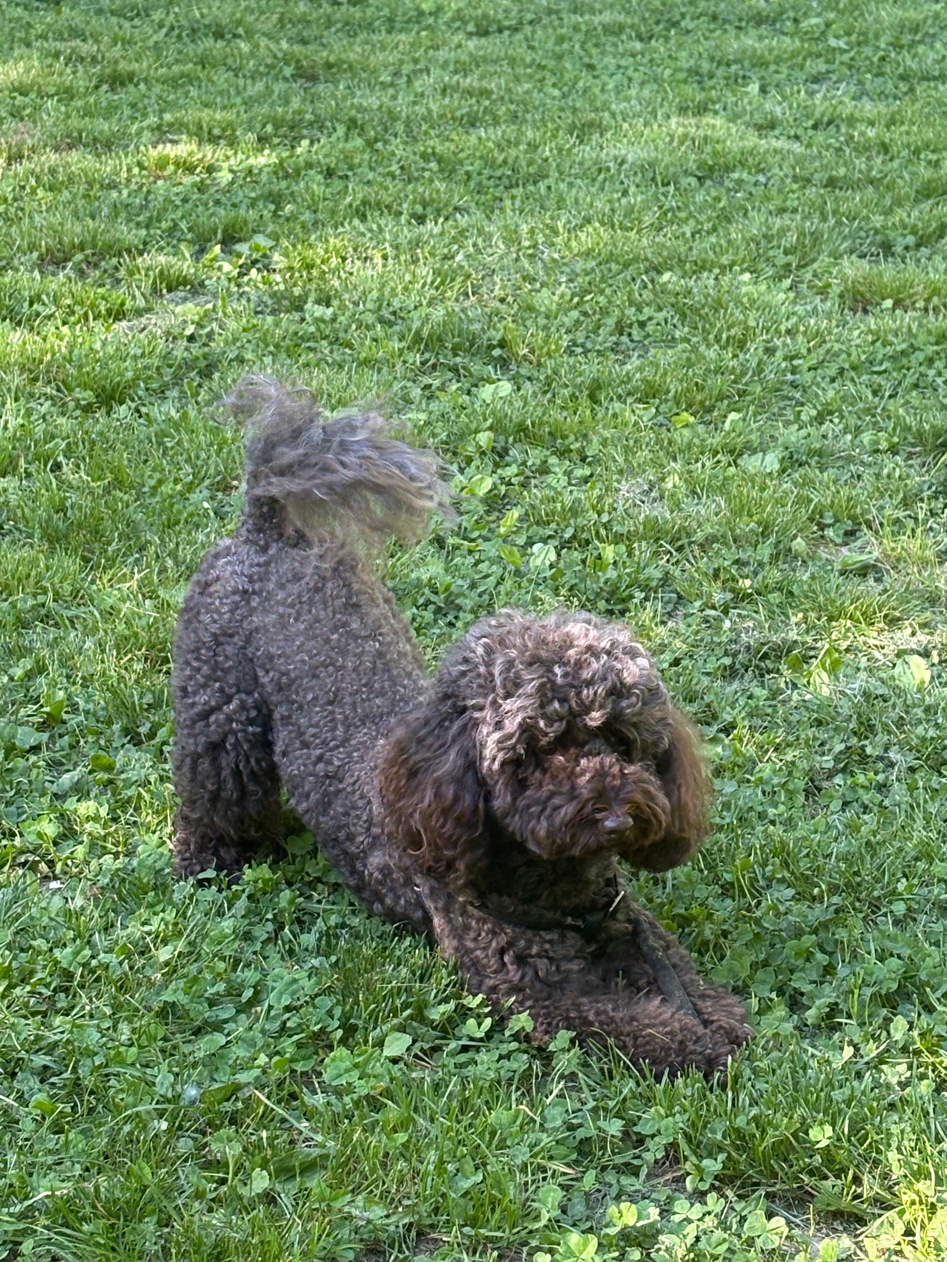 image-10