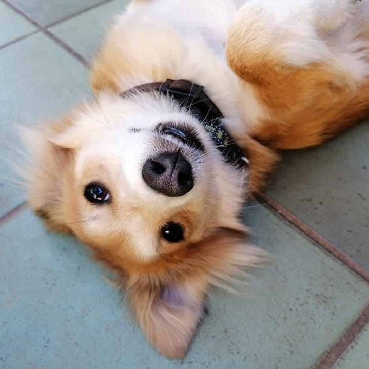 Hana