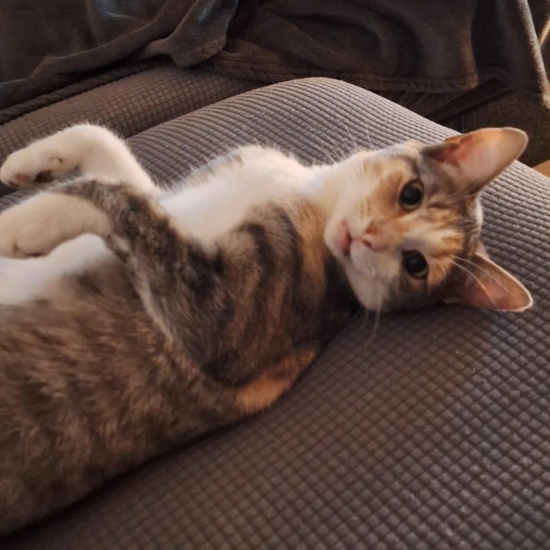 Sookie