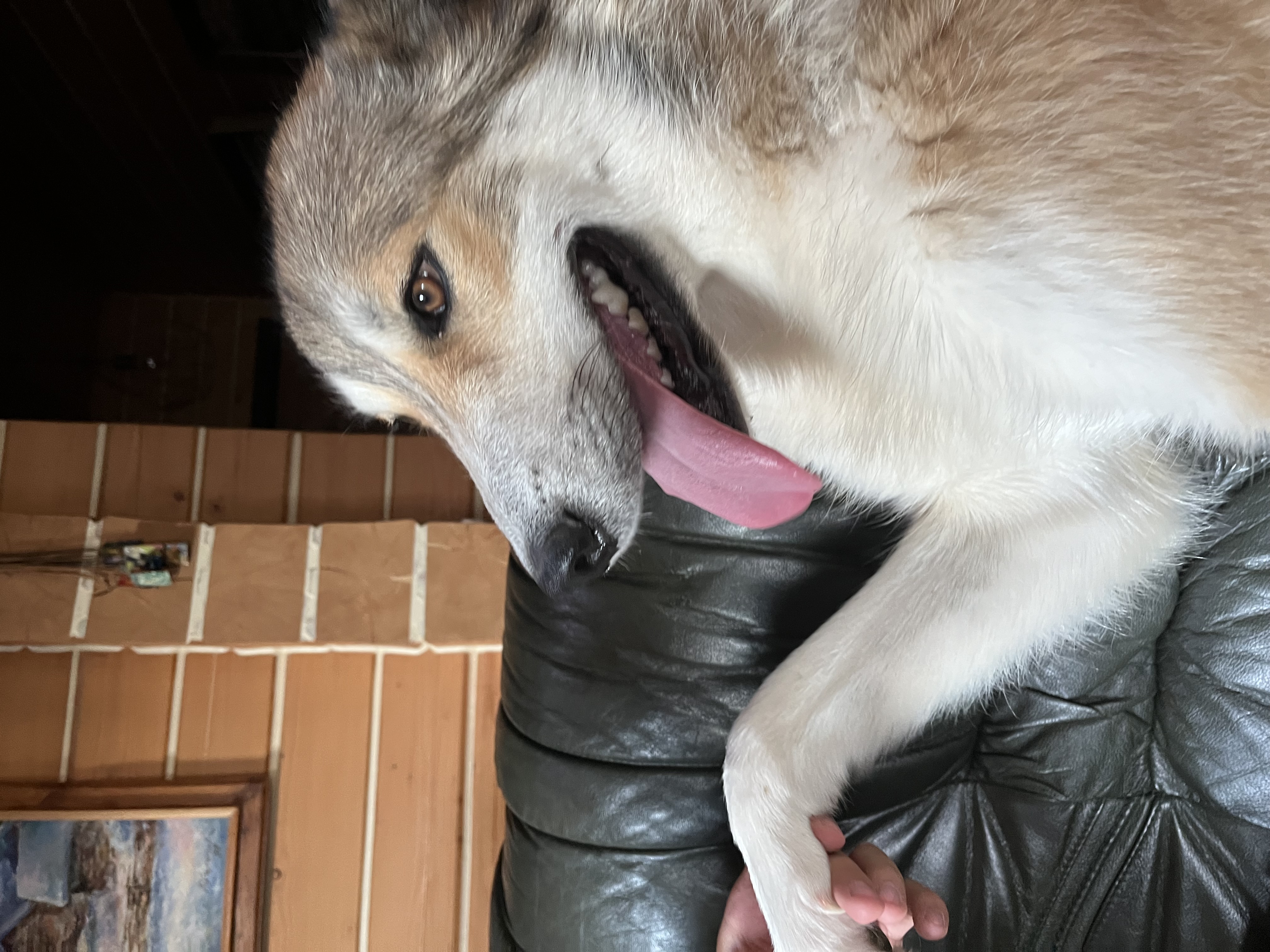 image-6