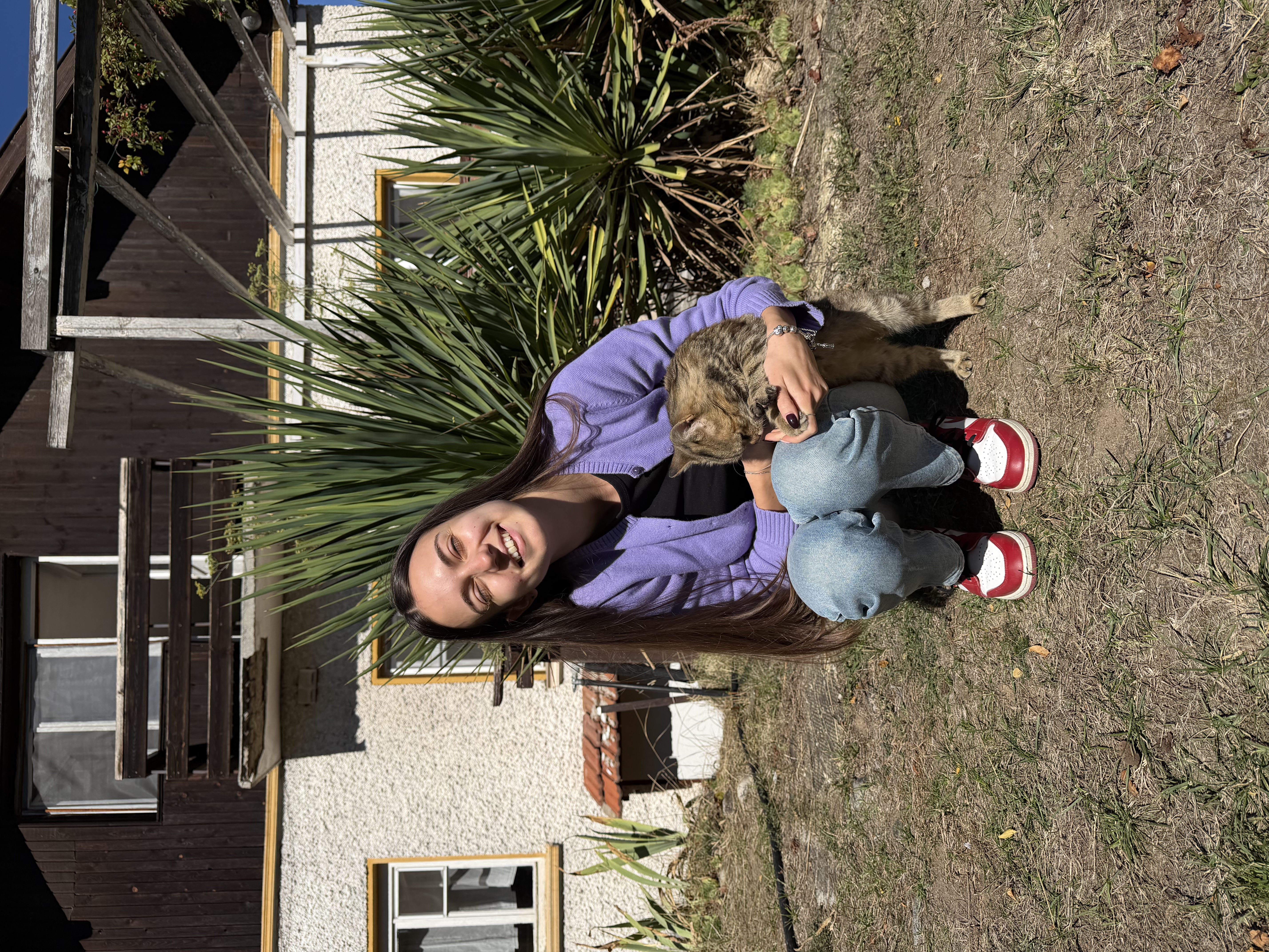 image-7