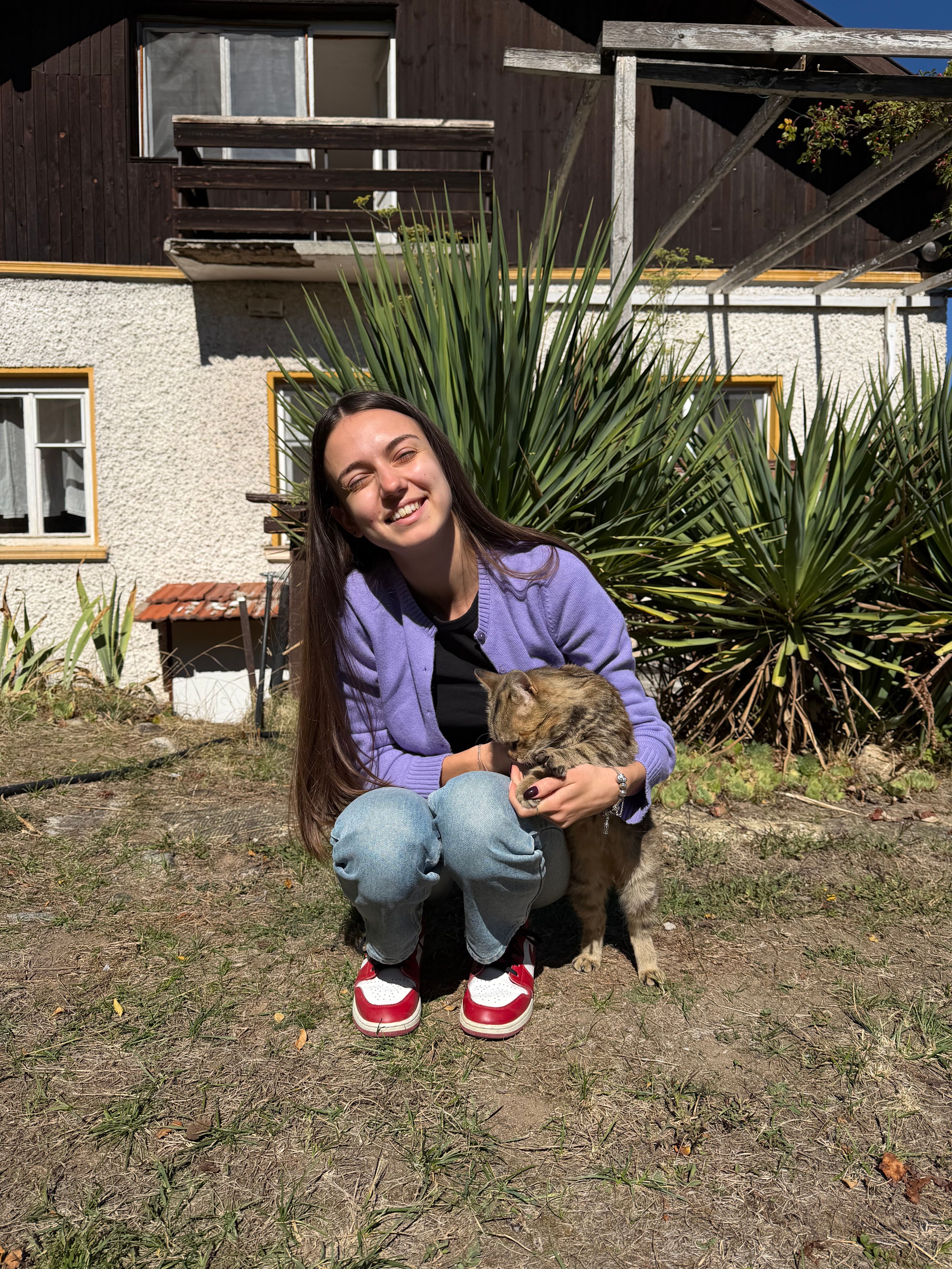 image-7