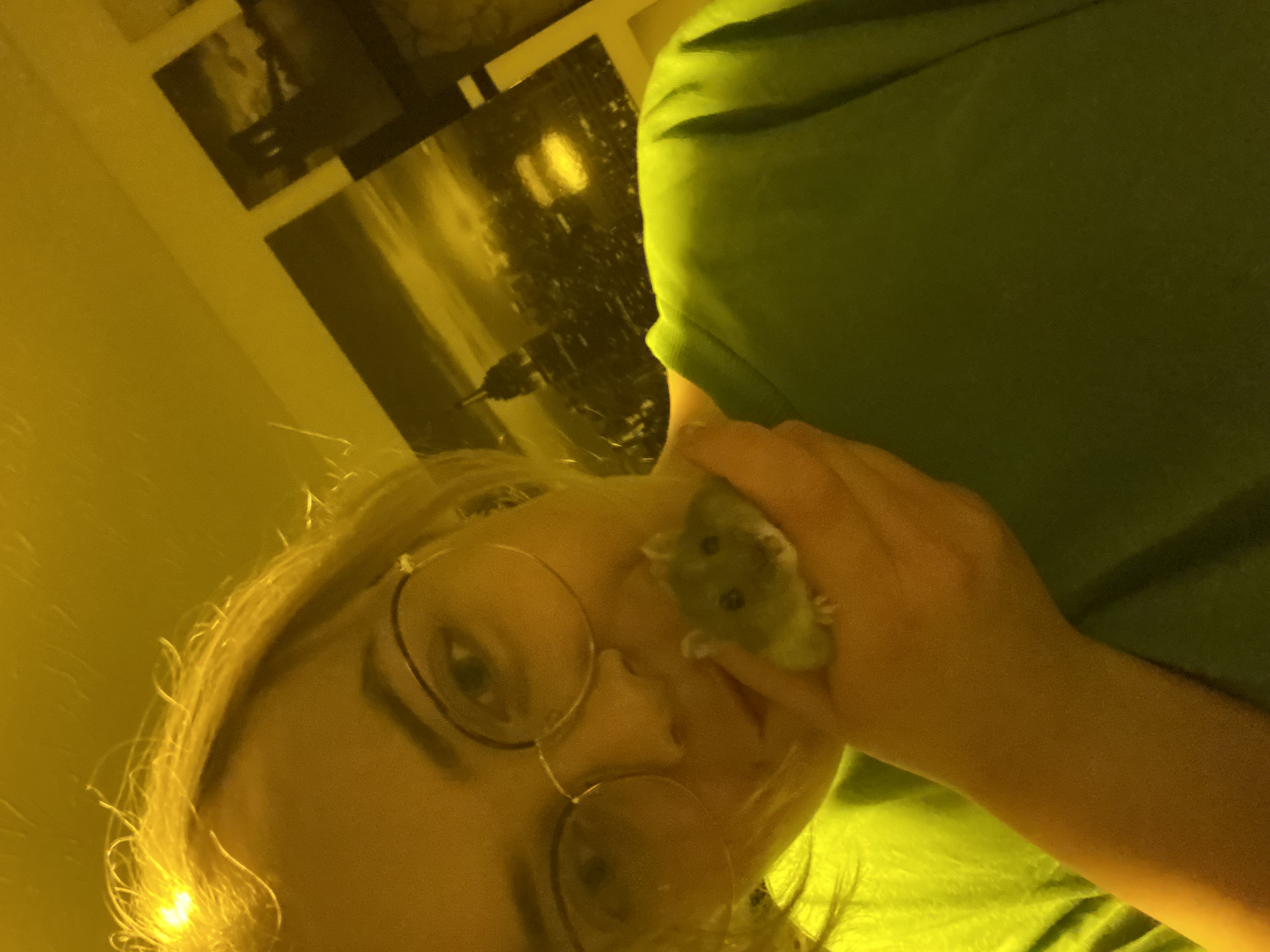 image-6