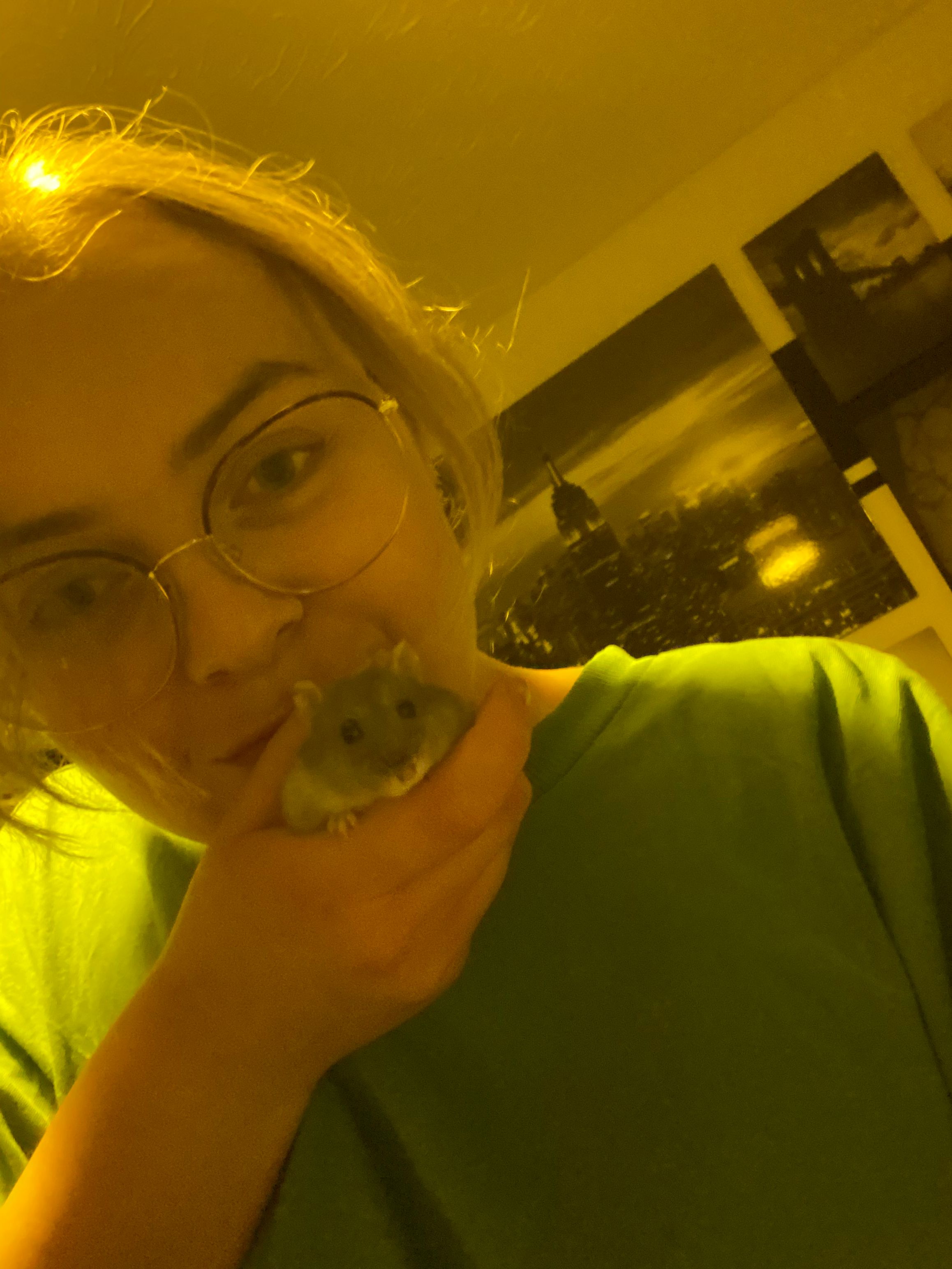 image-6