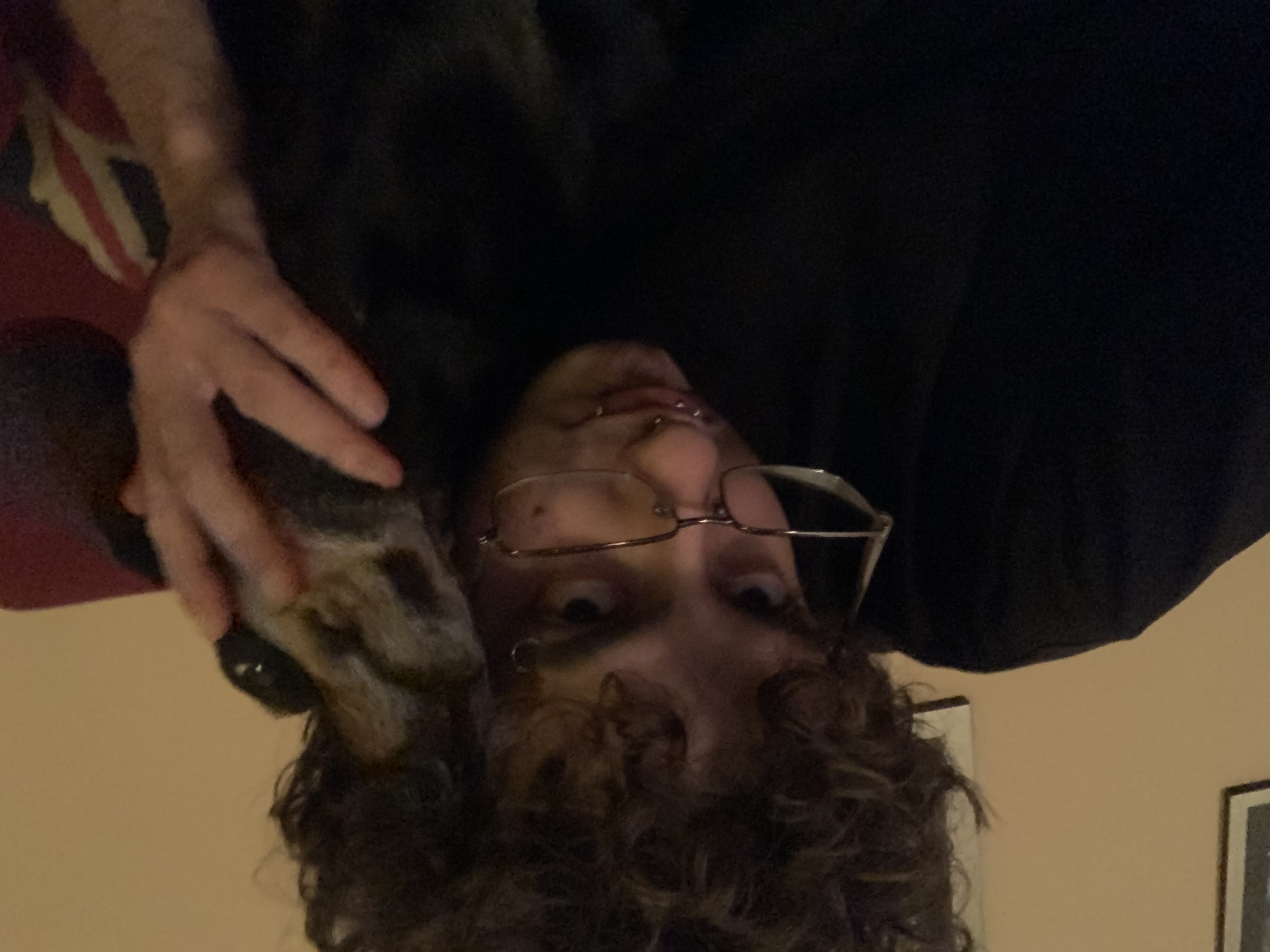 image-5