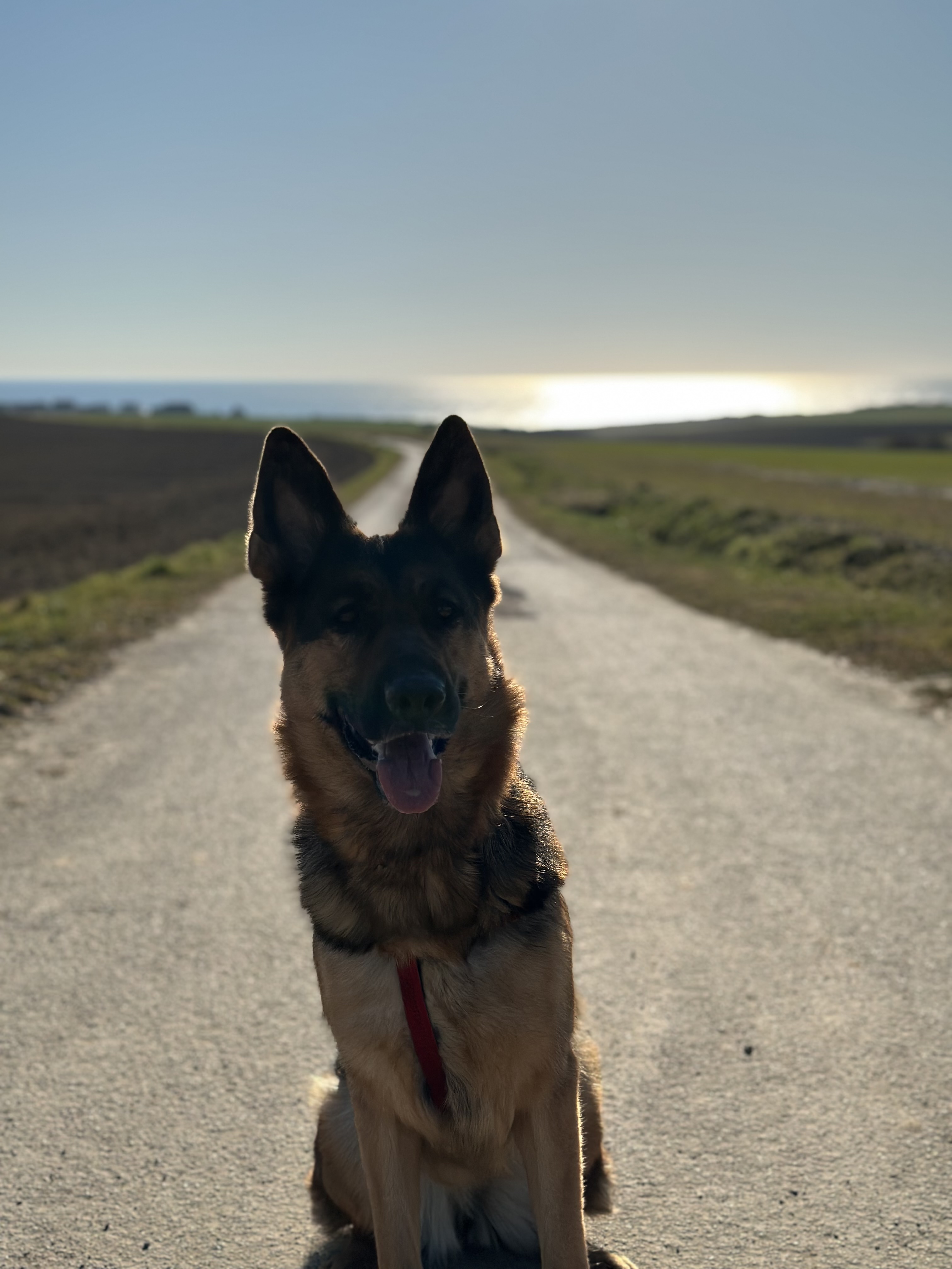 image-9