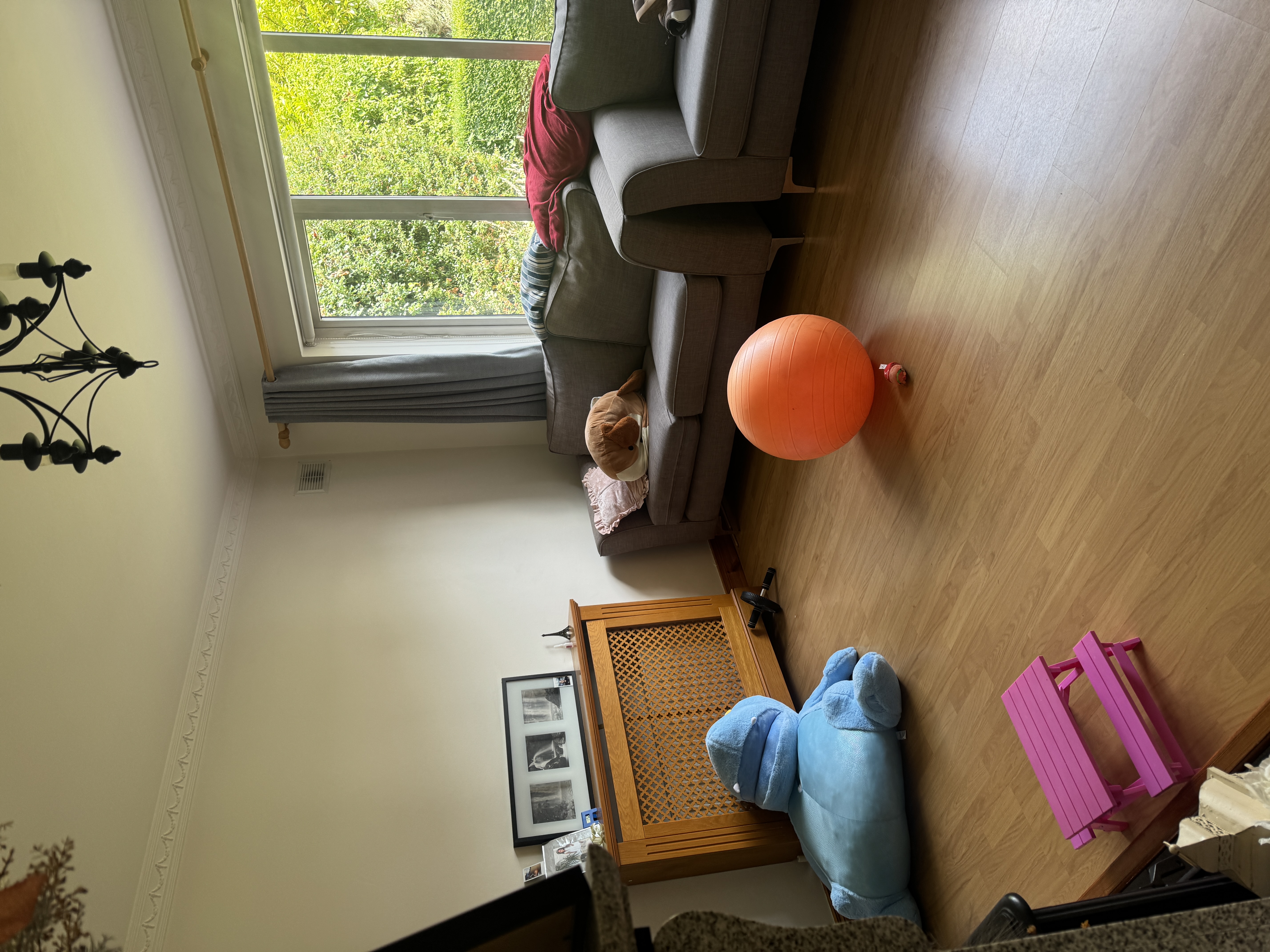 image-19