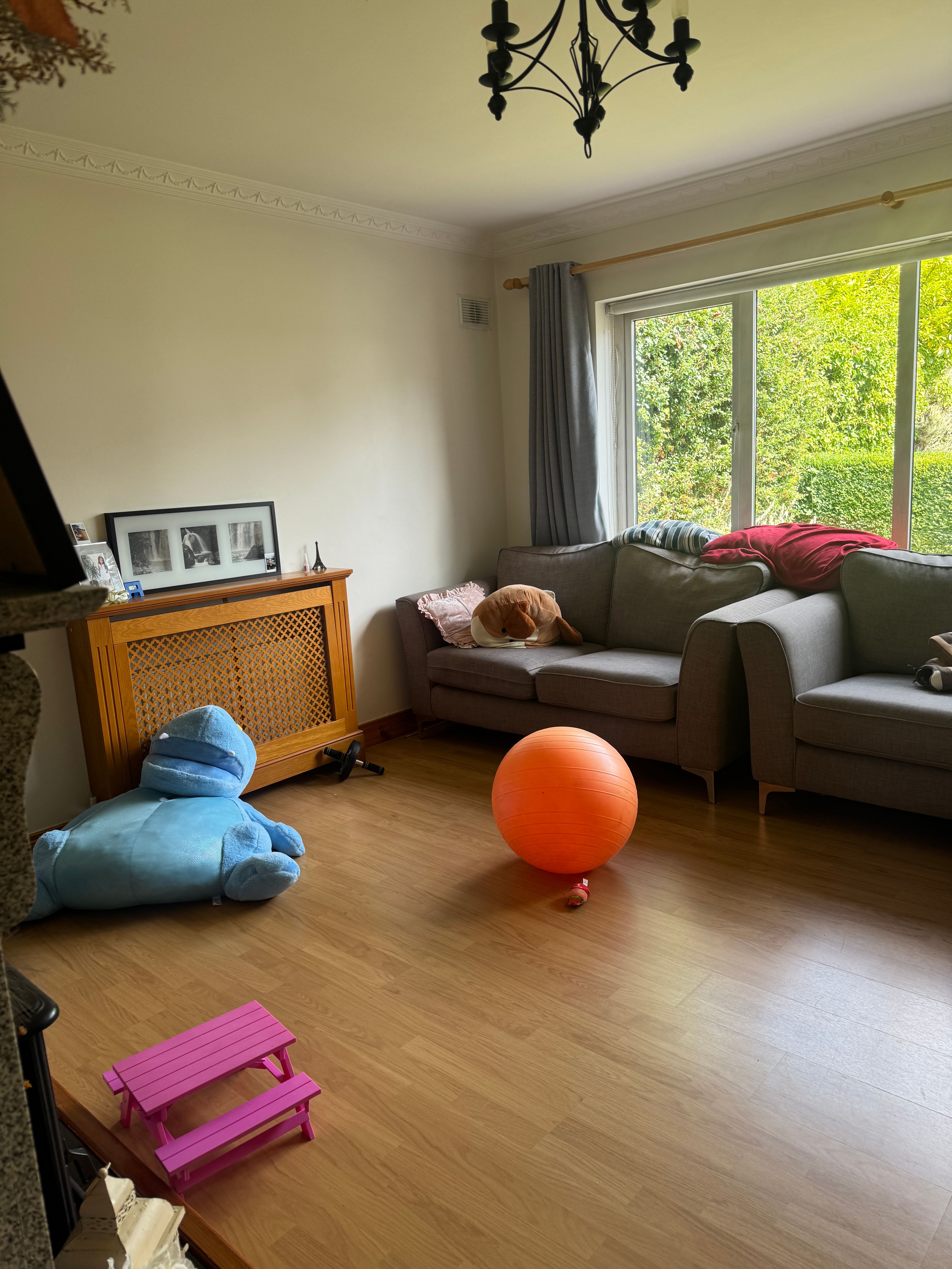 image-19