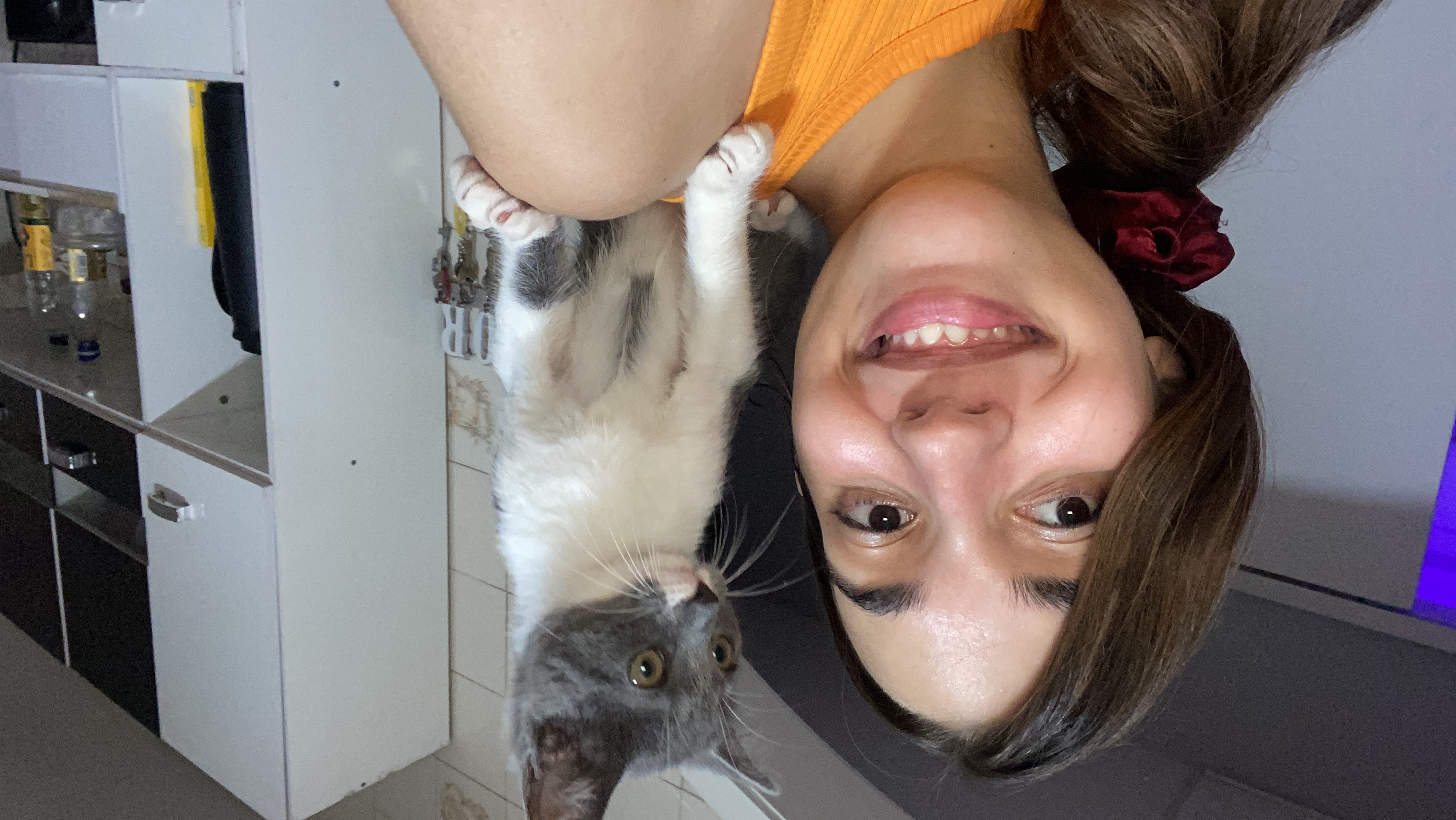 image-7