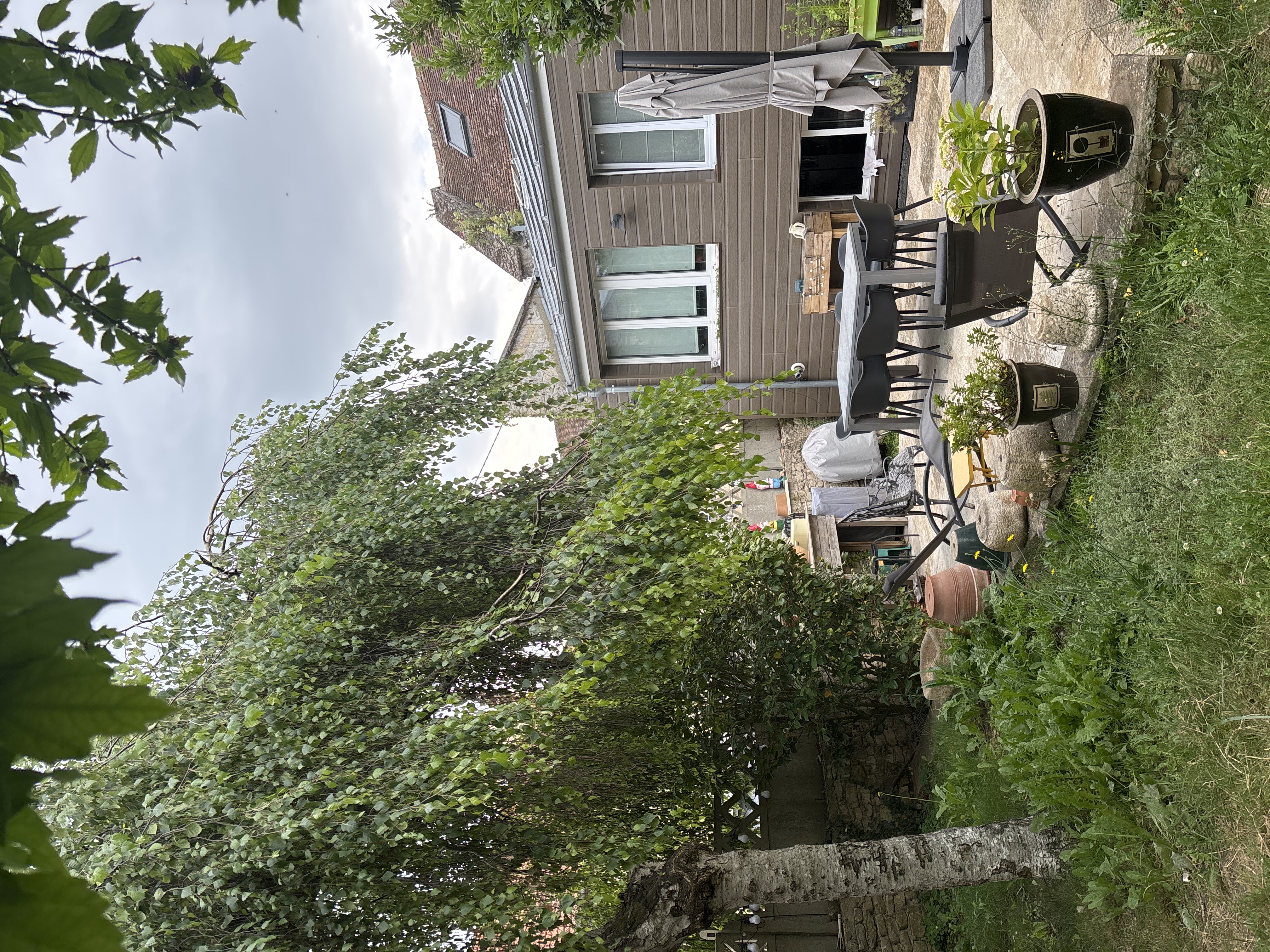 image-19