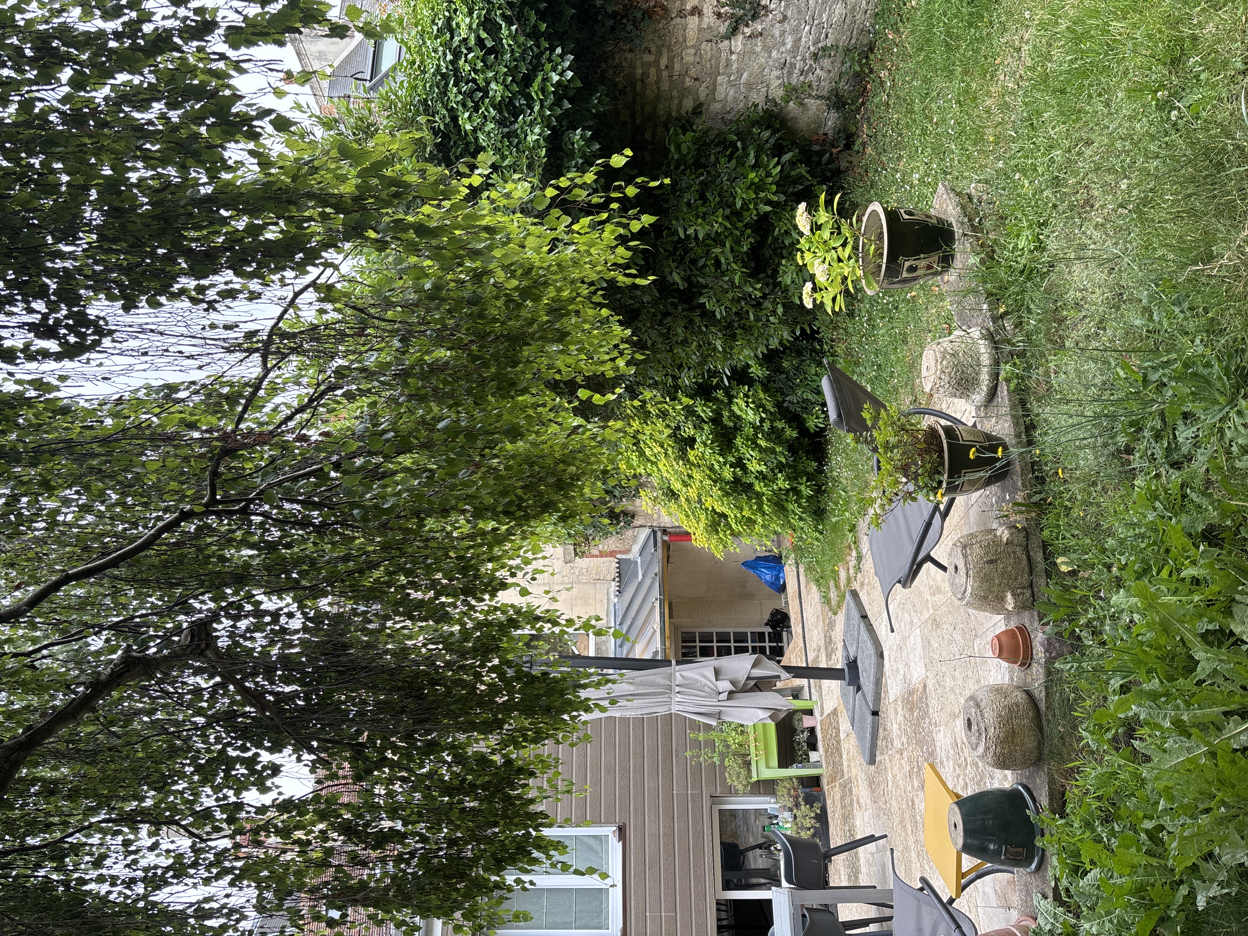 image-20