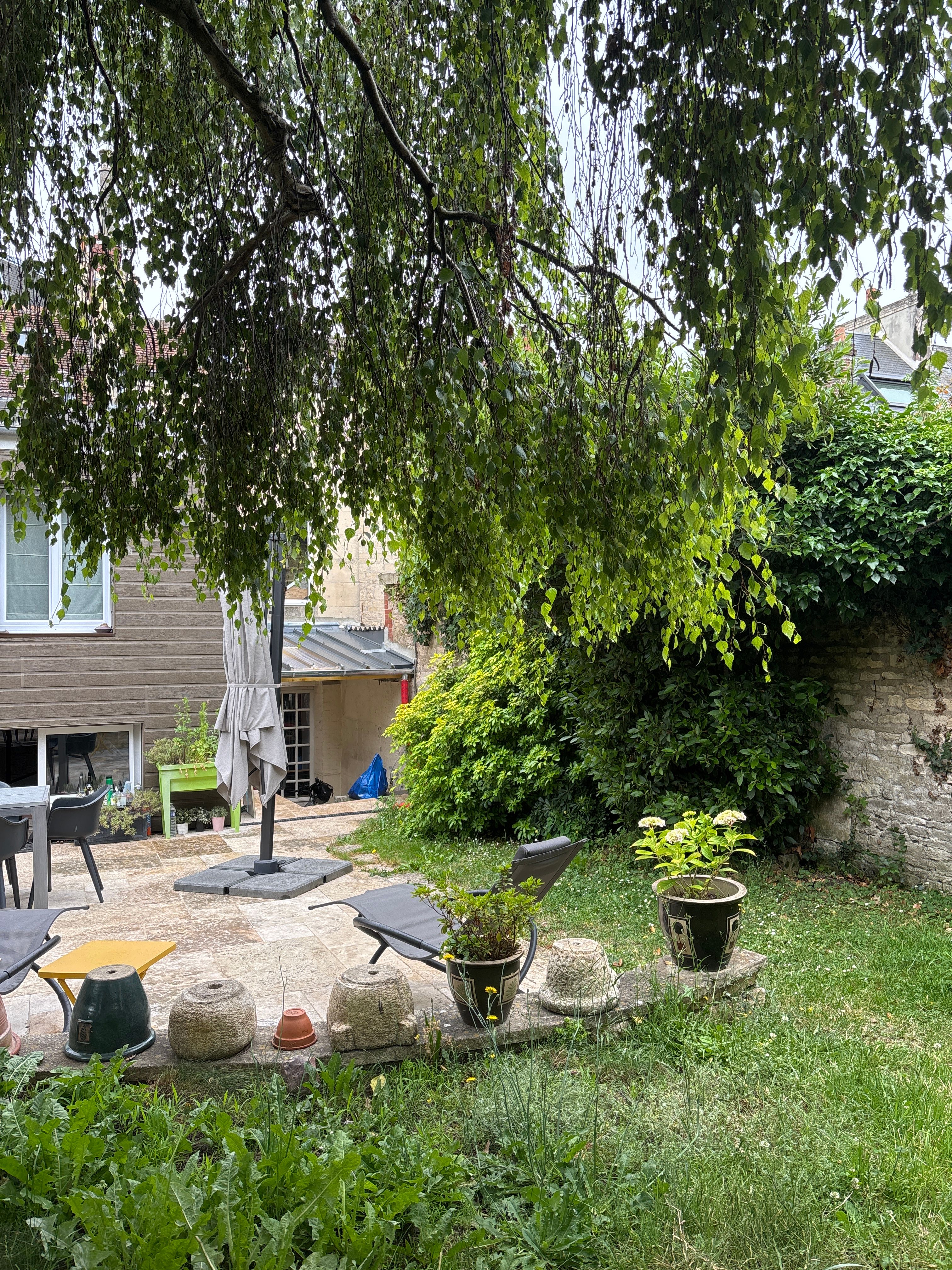 image-20